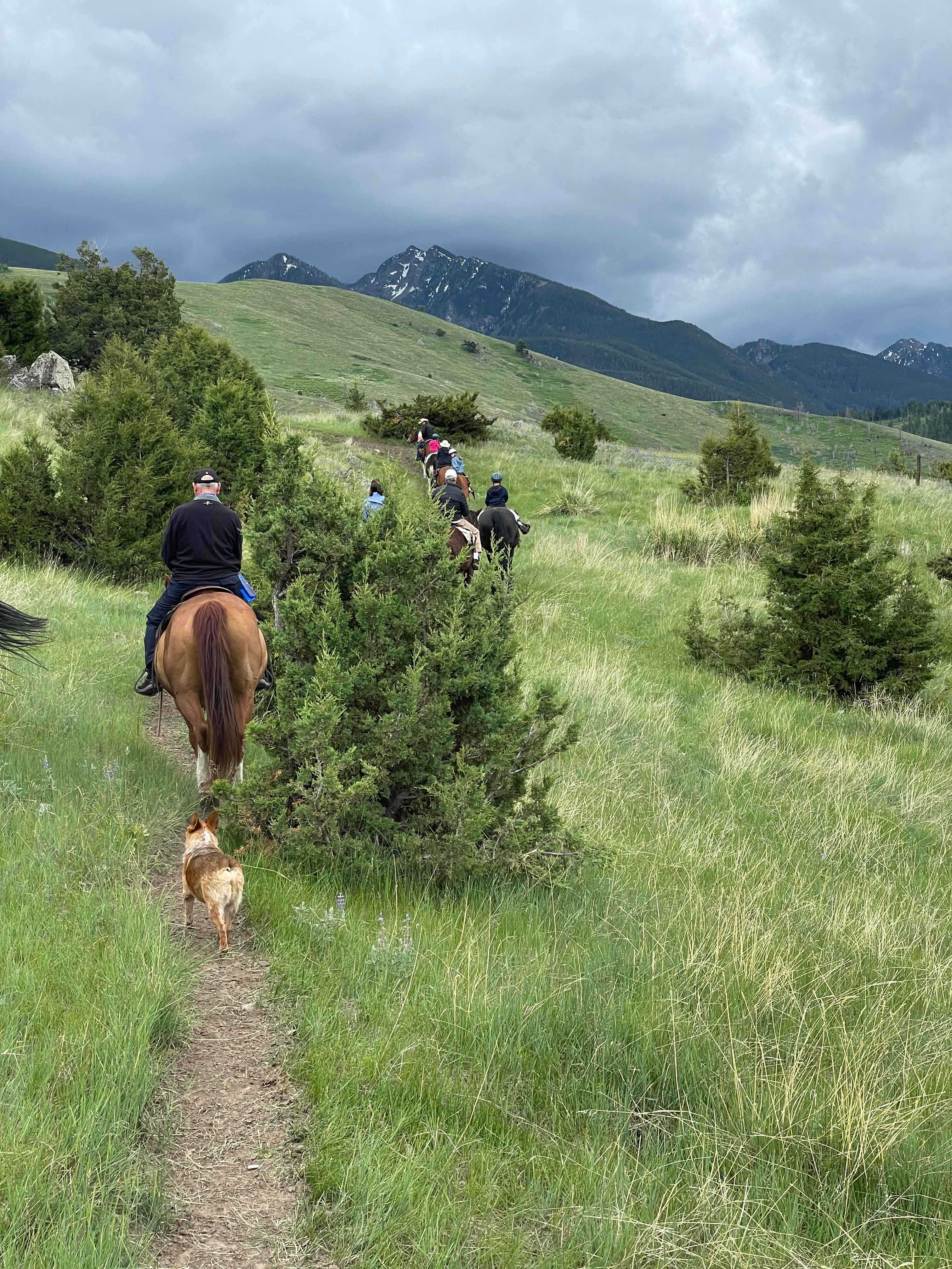 3A7E3D28-7747-479B-BFDF-78E3F712556B