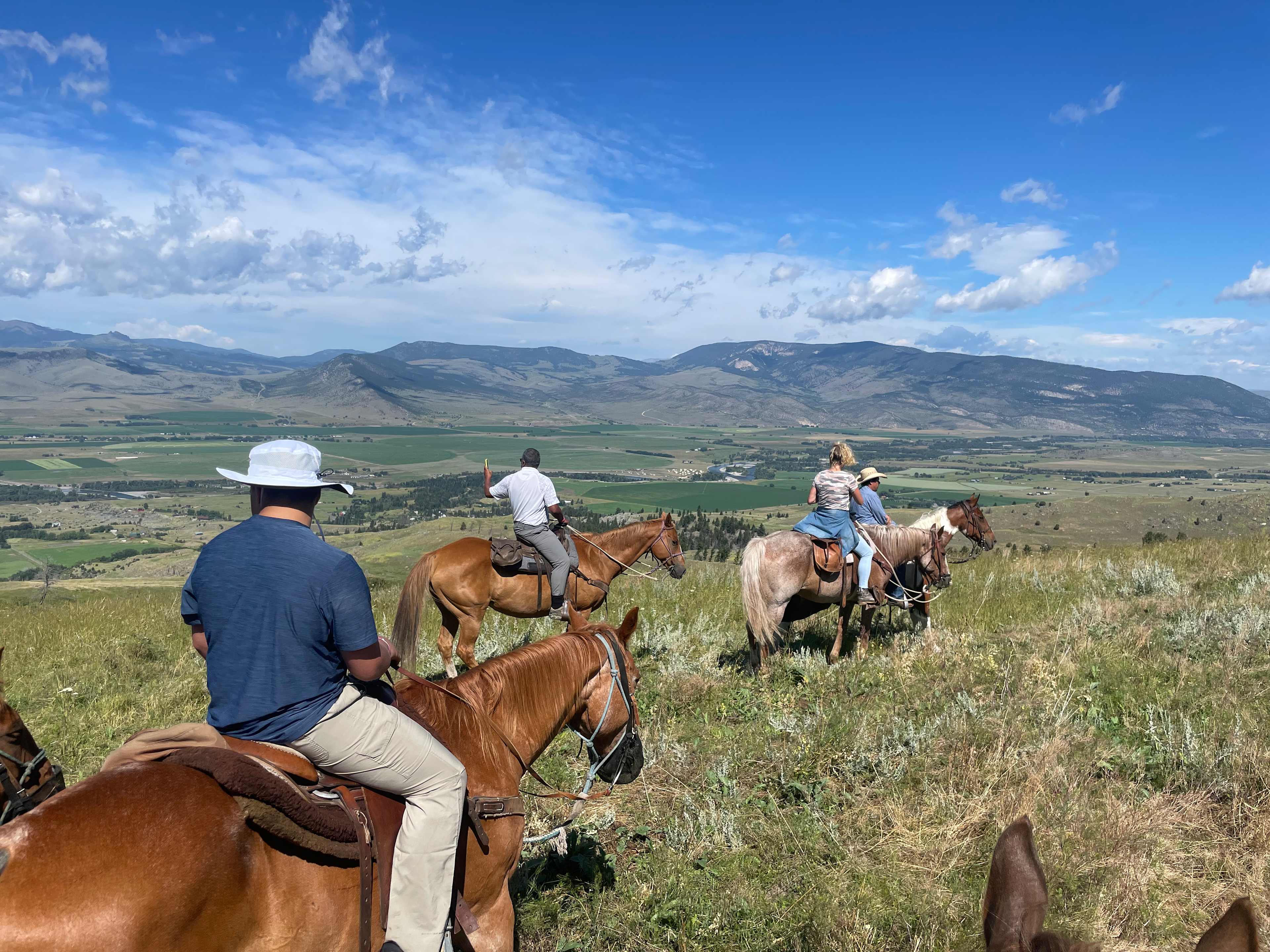 D8134415-6781-4407-BD79-108A77035DEE-v2