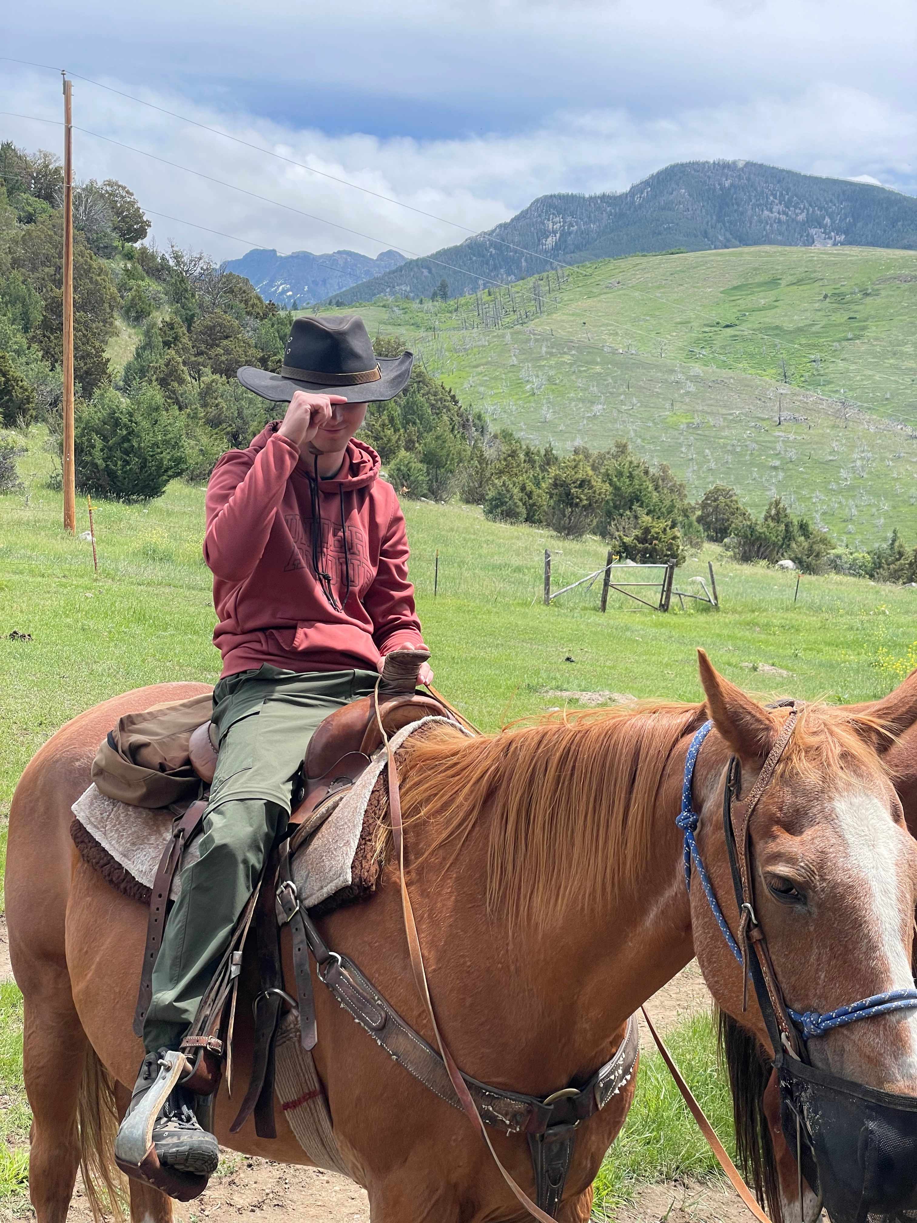 B9B6B353-BFB0-4F23-8FDB-828F56661AAB