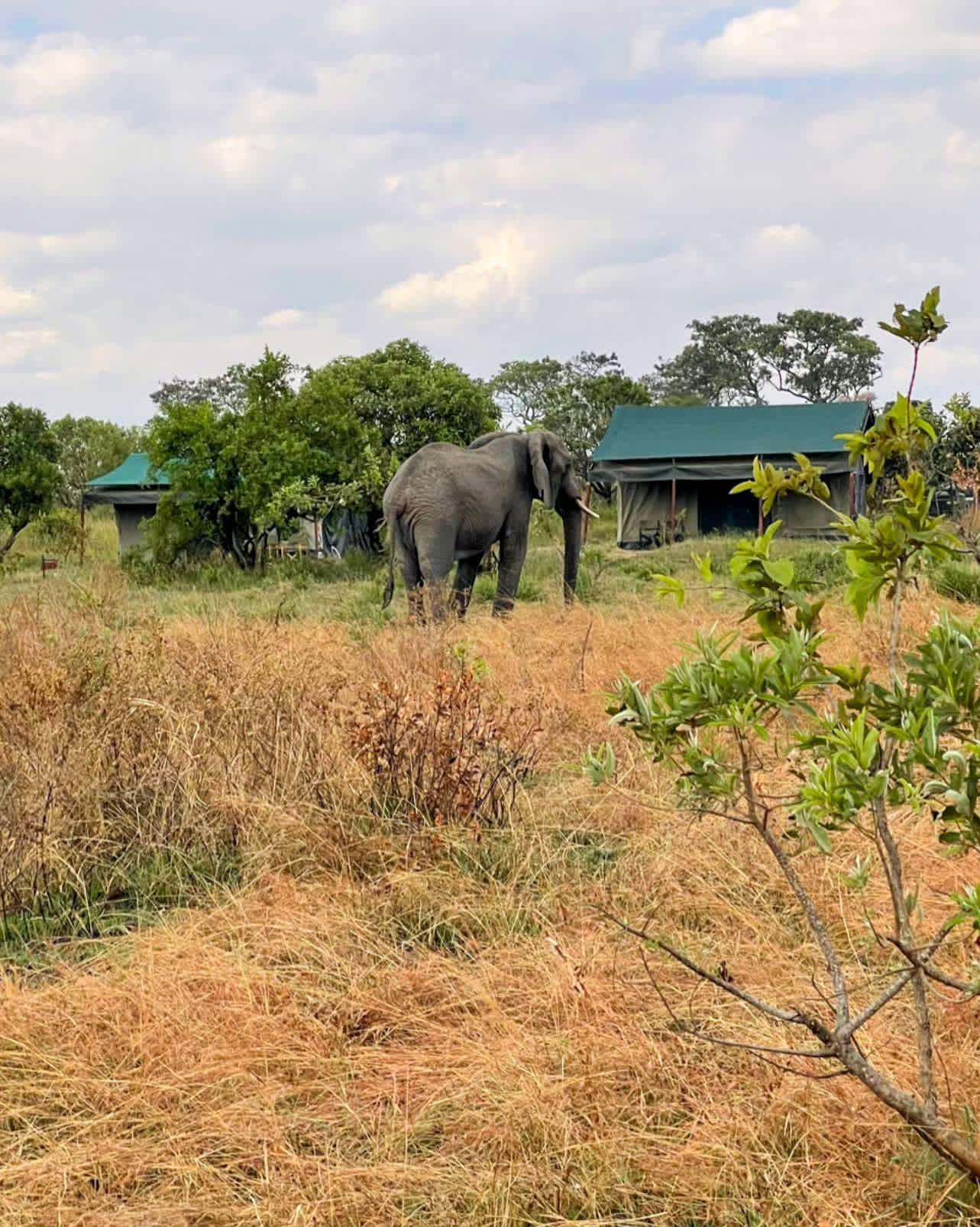 IMG_20230809_145230_622-v2