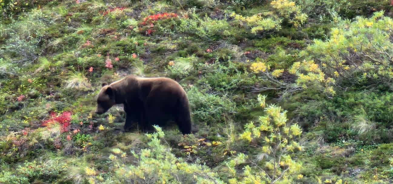 UNADJUSTEDNONRAW_thumb_324f