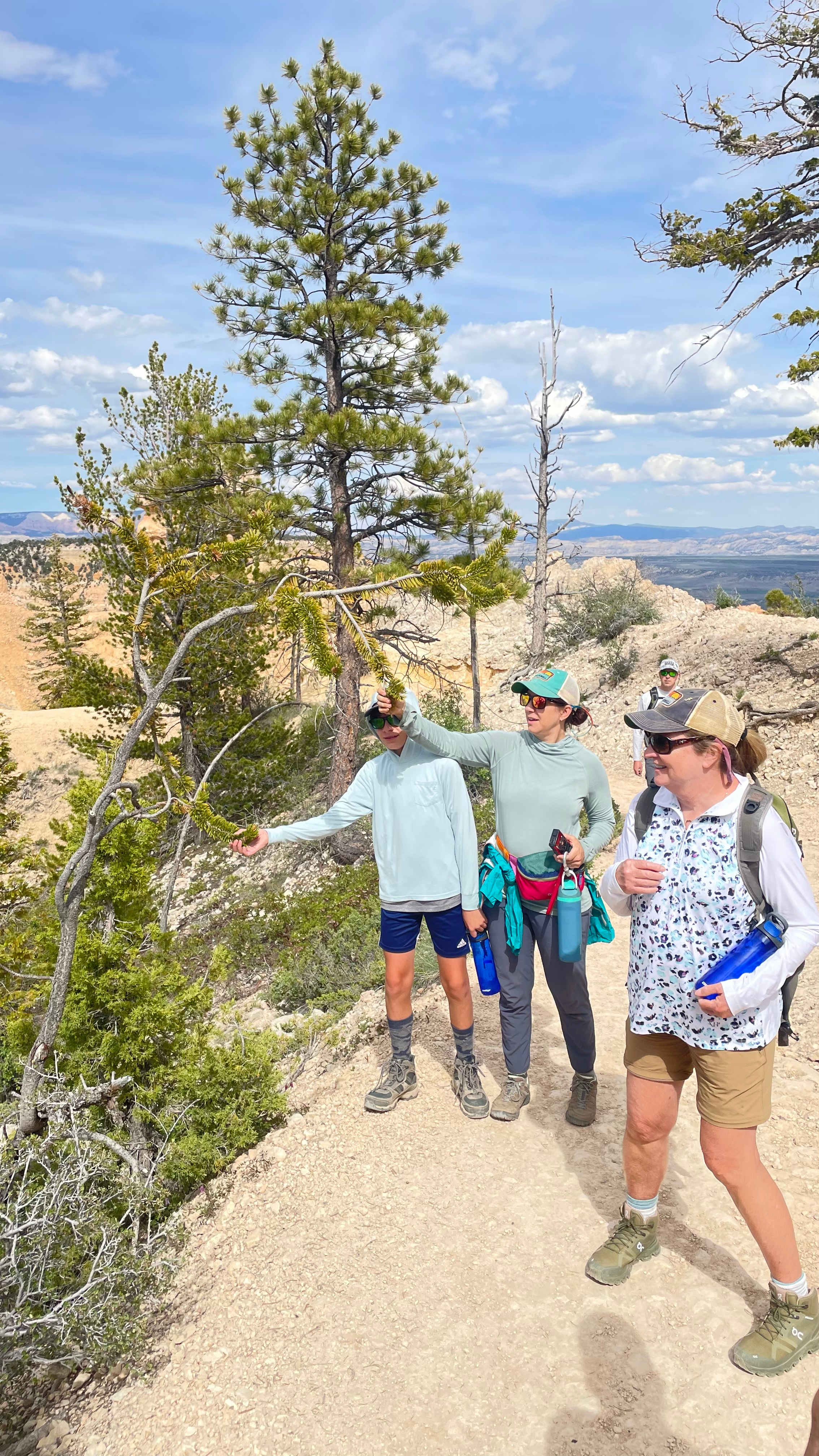 F341DFBD-C5BE-4FE4-96E5-13178C1DB019