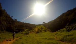 Video: Ultimate North Island Adventure Trip