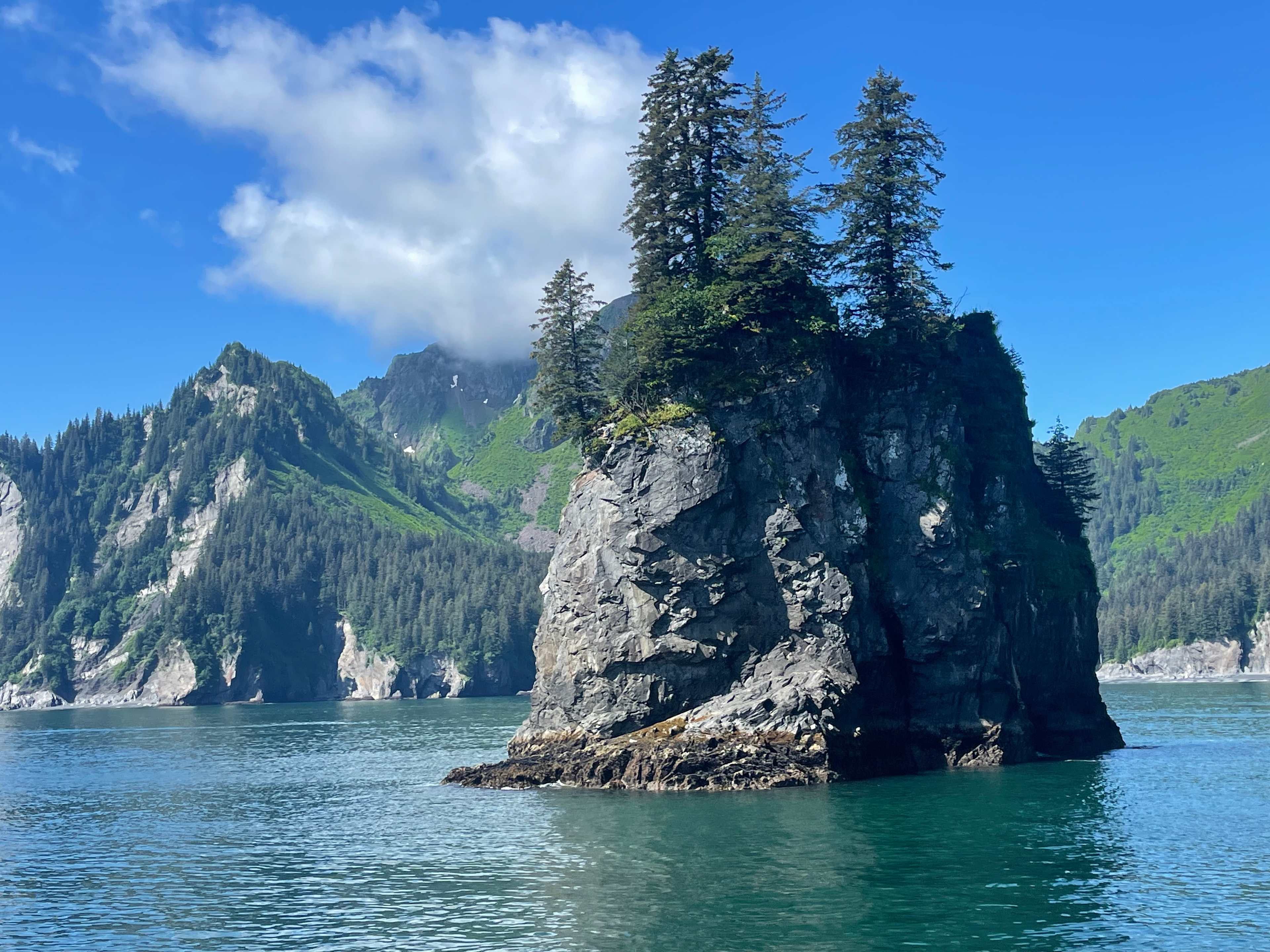 C0DB1DEB-AD4A-4A74-95A6-5E76BF97C794