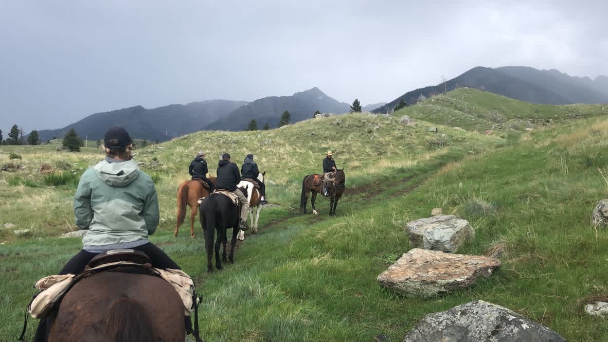 AD519382-C5D9-42B3-951E-CE0612B33D8E_1_105_c