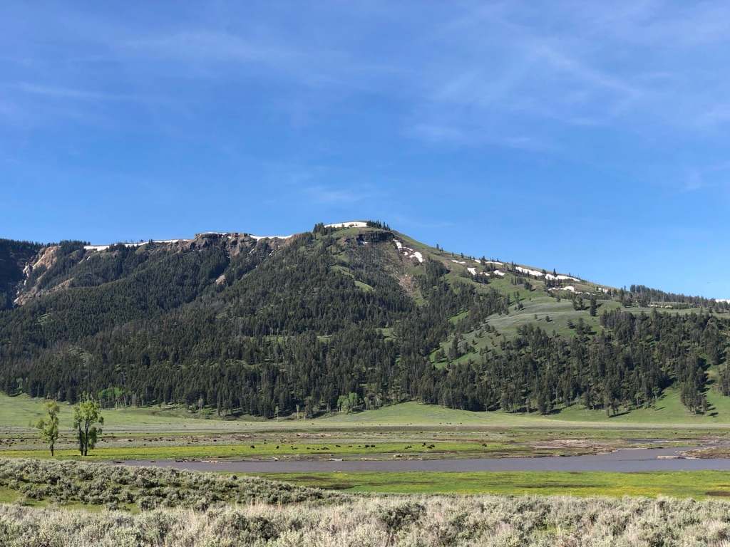 3FBE1CE5-0E35-4466-BFDD-41FFA1FE54A1_1_105_c