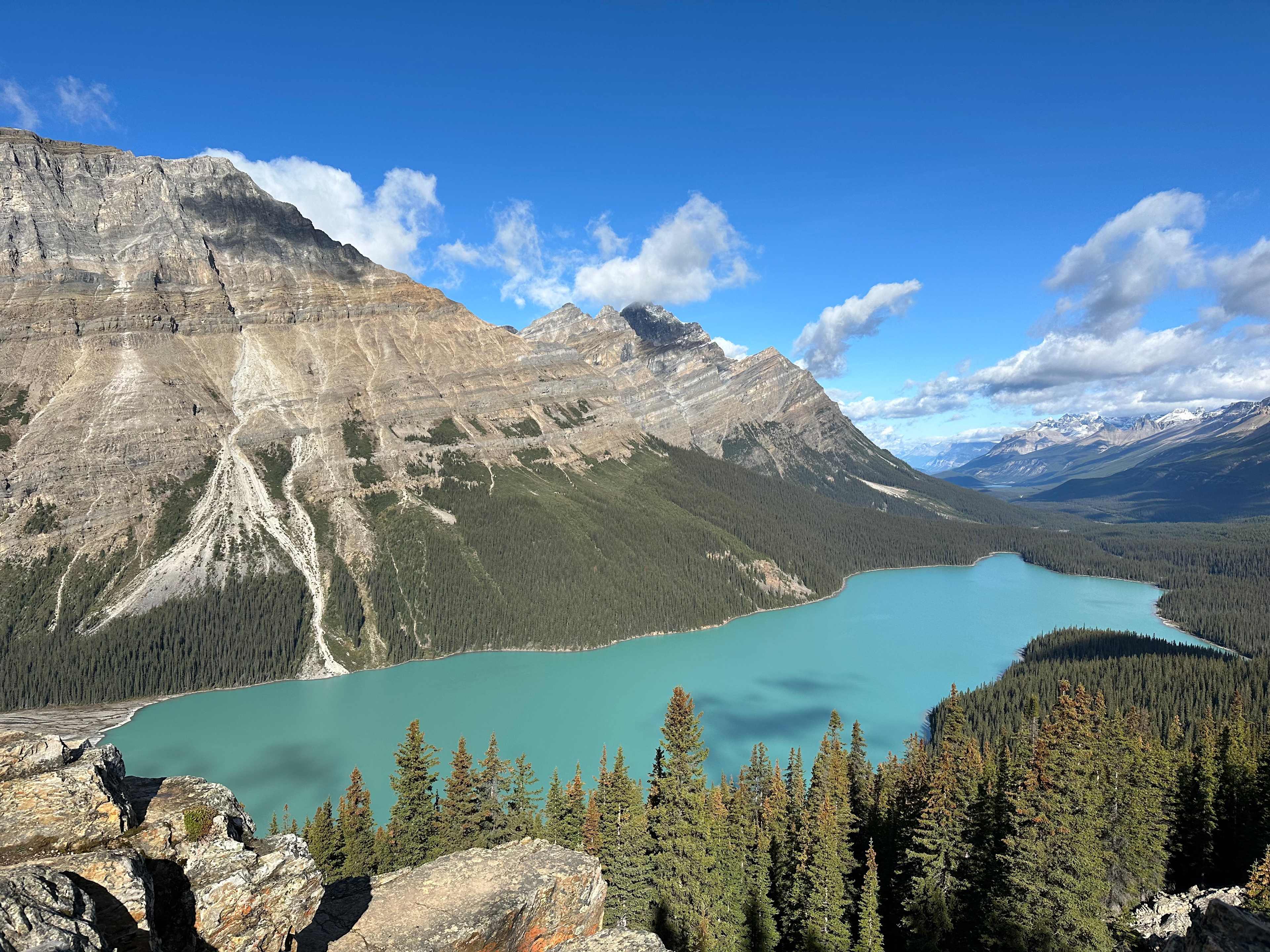 QfM1Hrg3TIaJ5qi7IYN4g