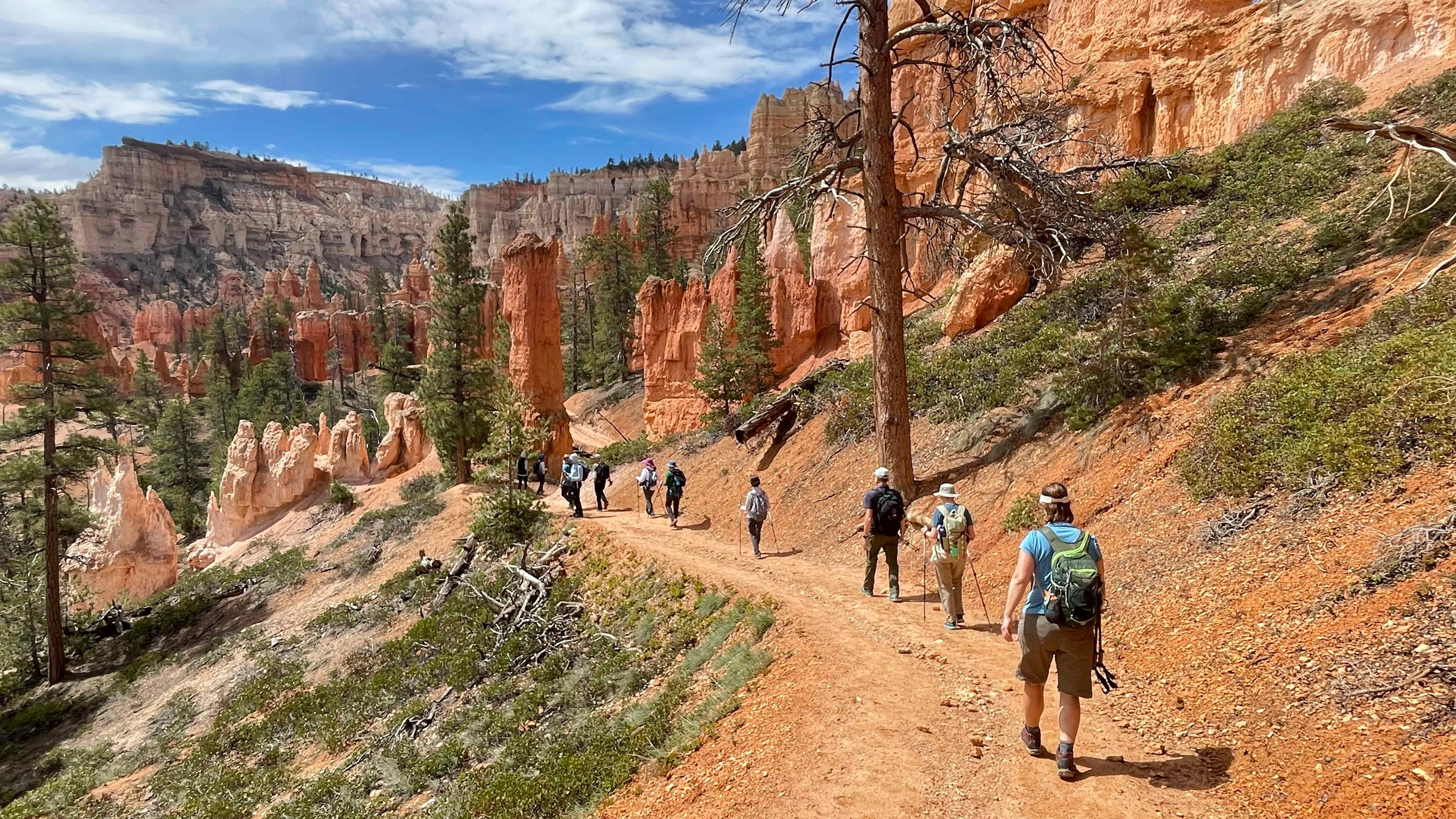 B89EF5C2-33F5-4429-A5B0-5EFF1E9E49D5