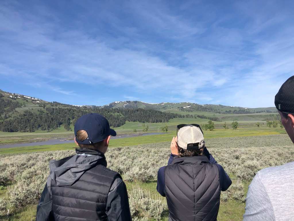 8E76C152-DE69-4060-992B-3BCDBB2CF609_1_105_c