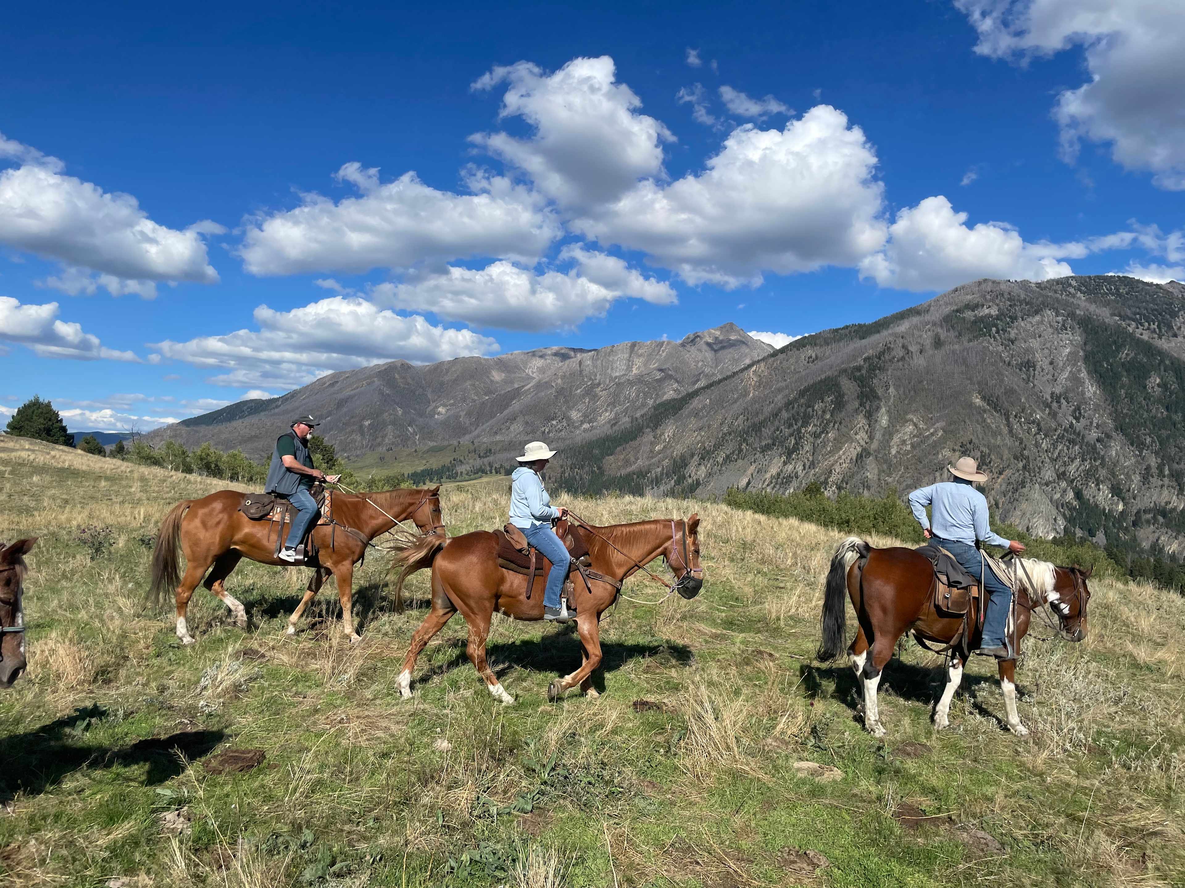 C5F747E7-C407-4180-A5E4-A2F2FF03D709