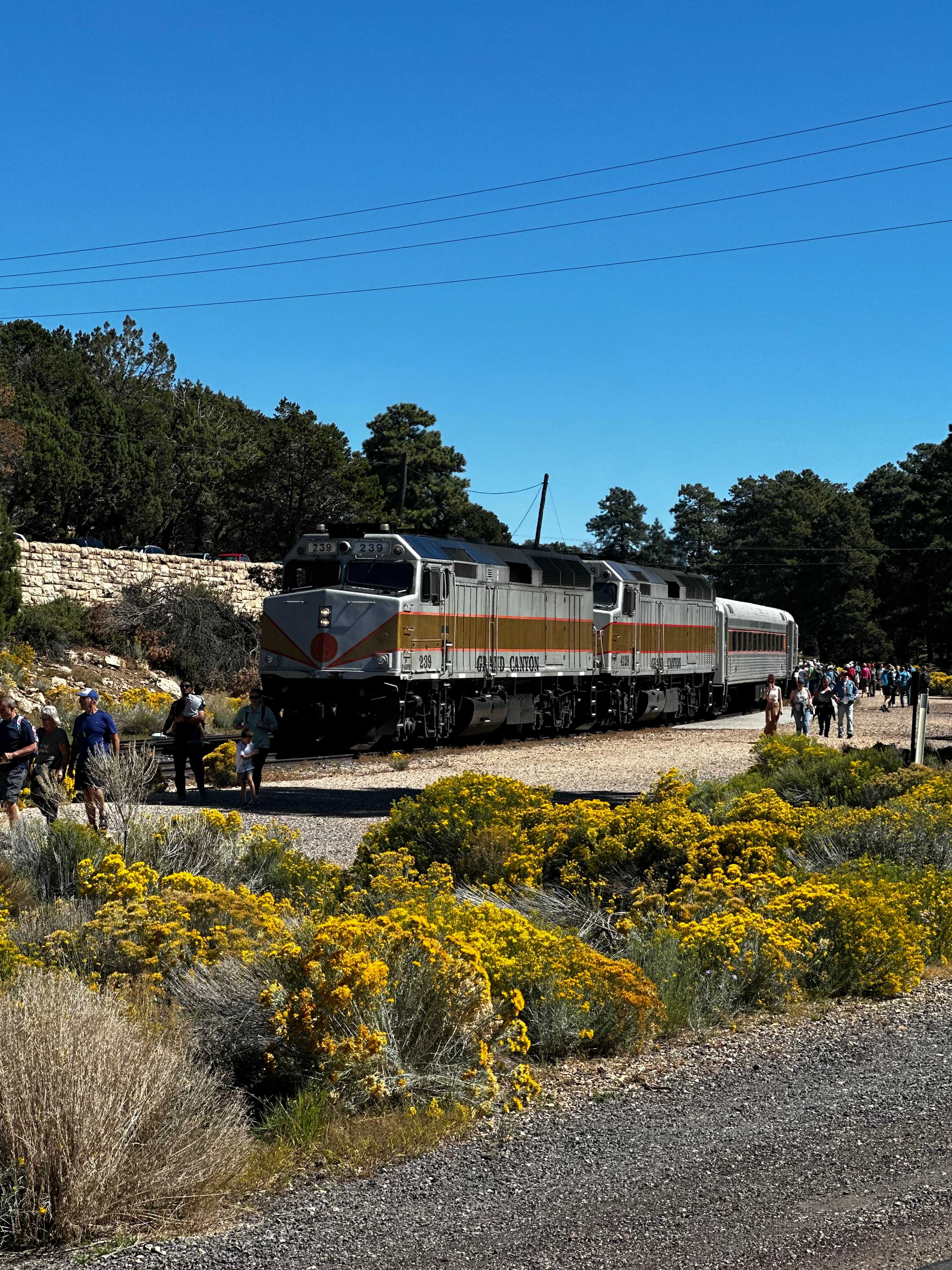 71744742153_77D540F5-11DD-4211-9409-F9B07836265E