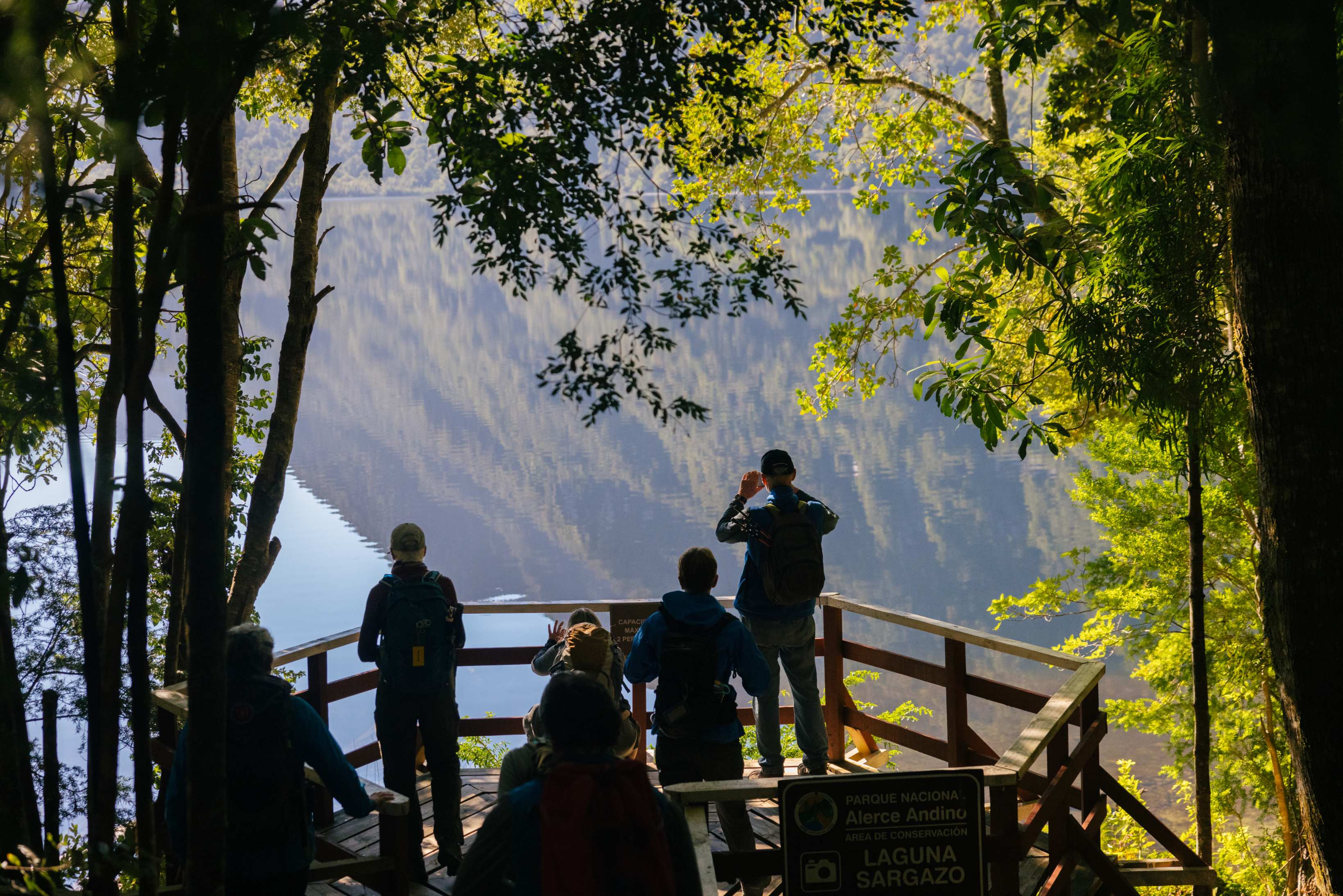 SA_Patagonia_Puma_AndyAustin-14