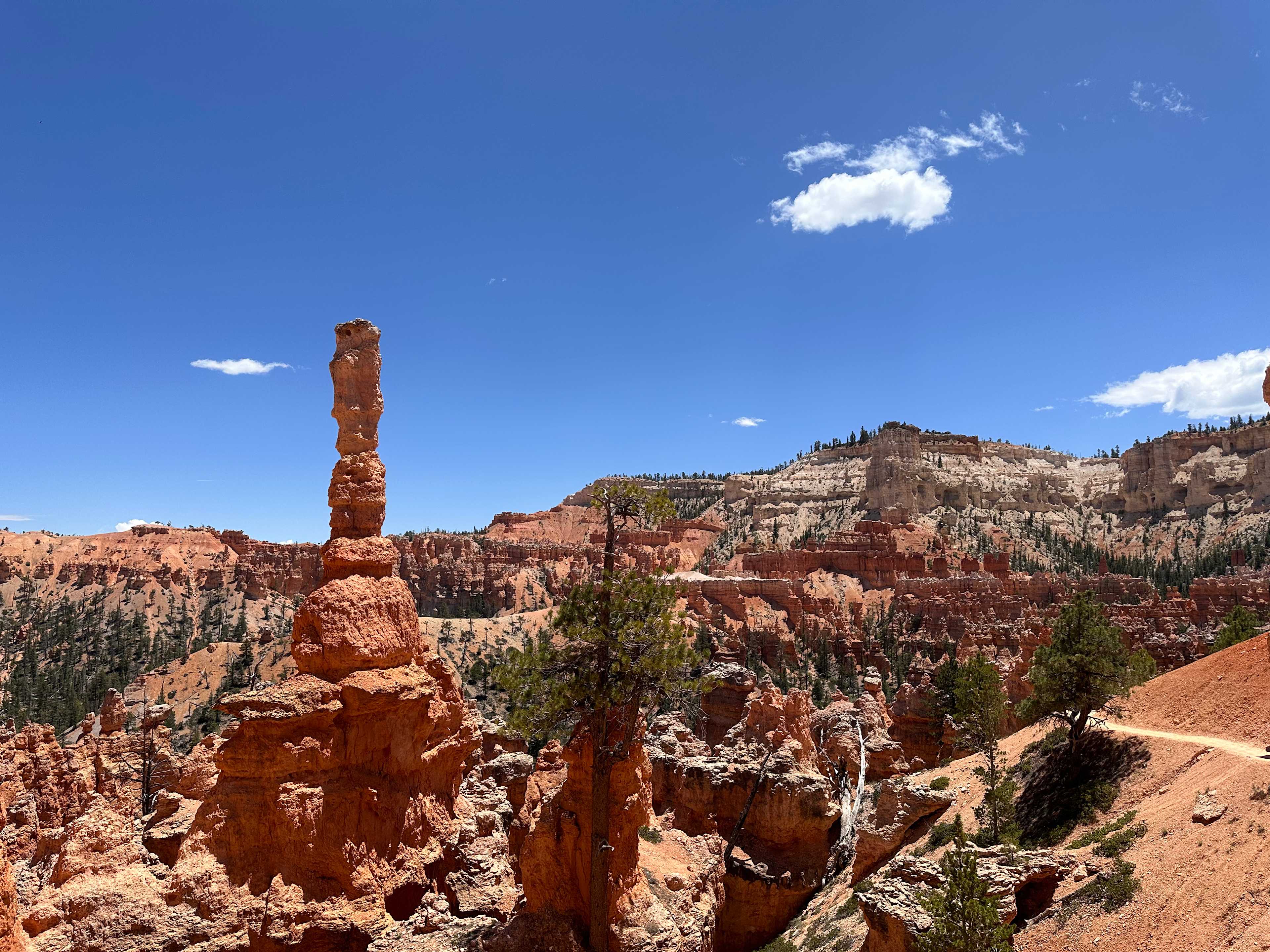 50773825-17C9-491A-986B-115BB0052D56