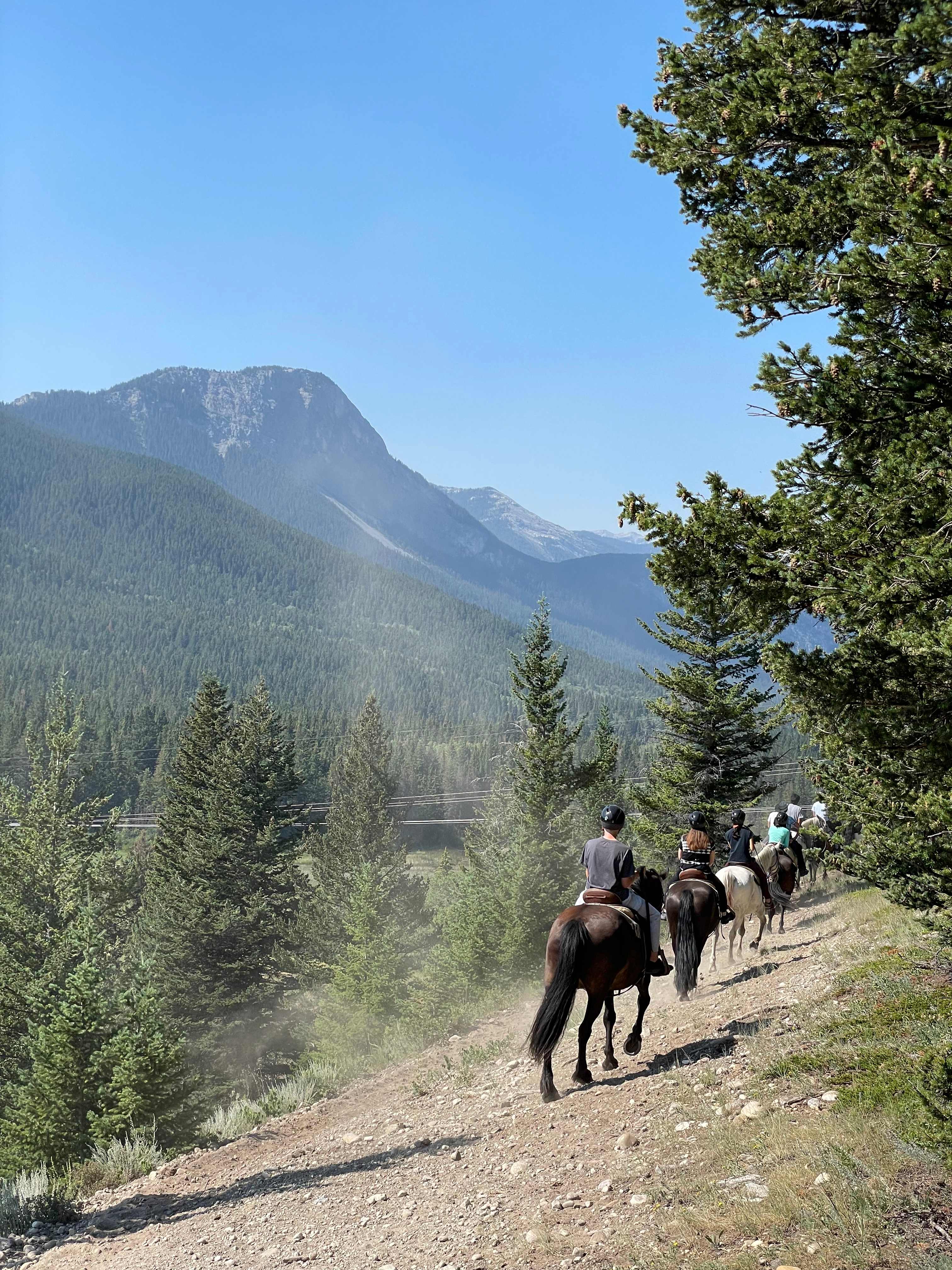 A1129461-F0AA-41F7-9352-2800C4D5D208