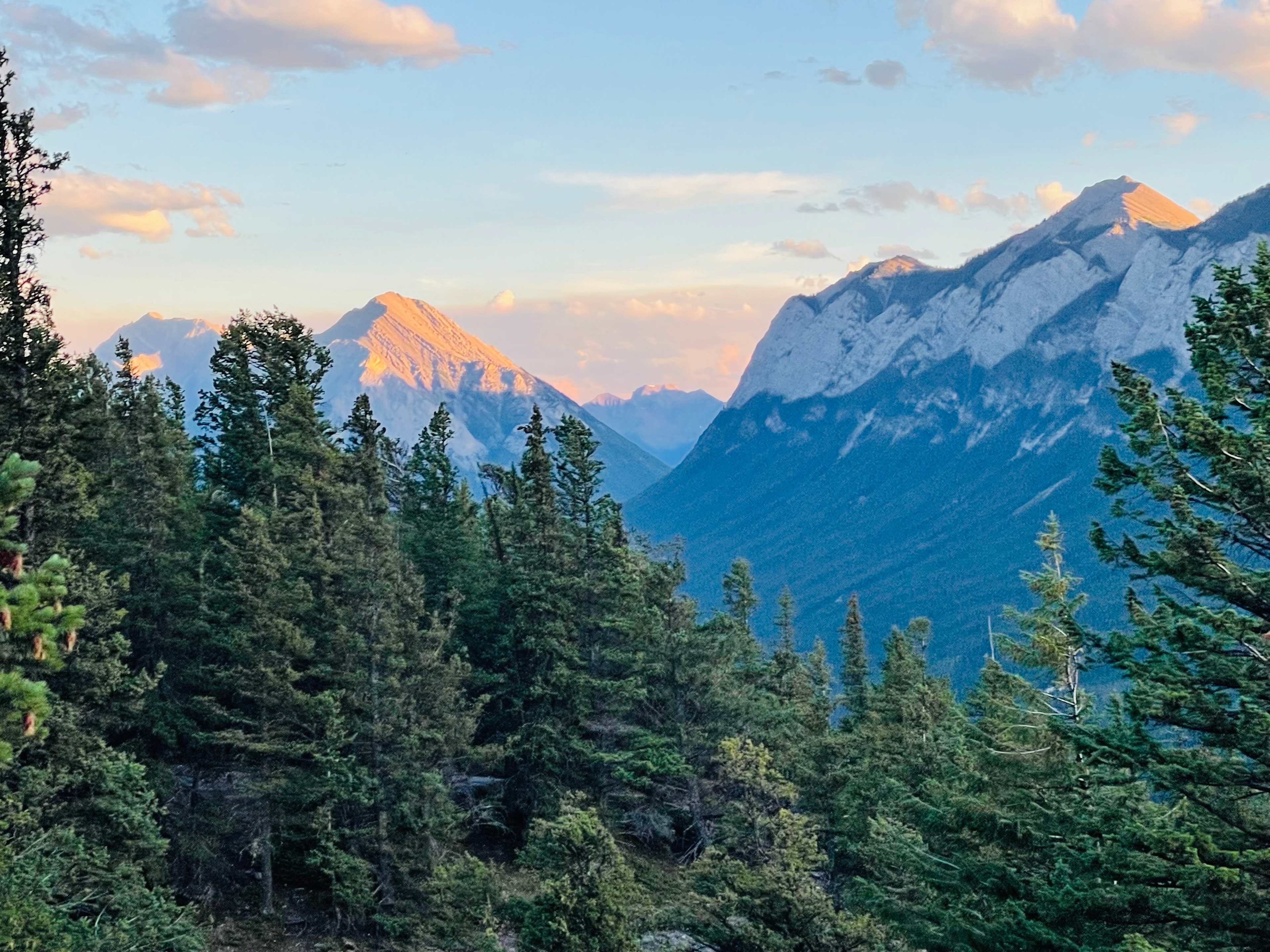 B943D90F-17D6-414F-9D9B-4343A9A34086