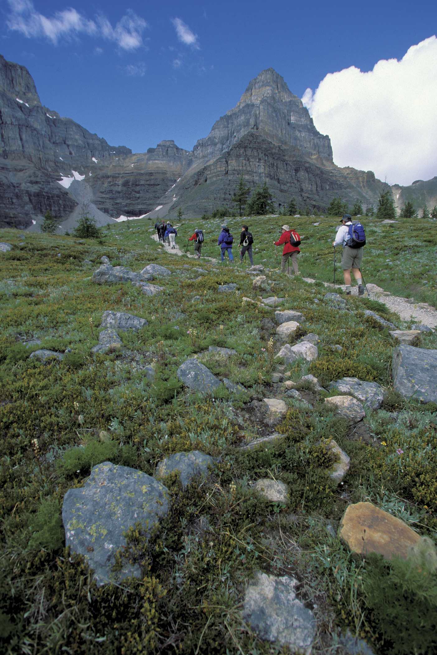 Banff-to-Jasper-Adult-9