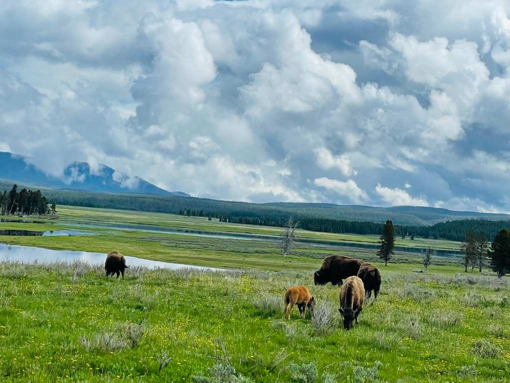 D6038B5F-8188-4DD1-873D-69B00E801568_1_105_c