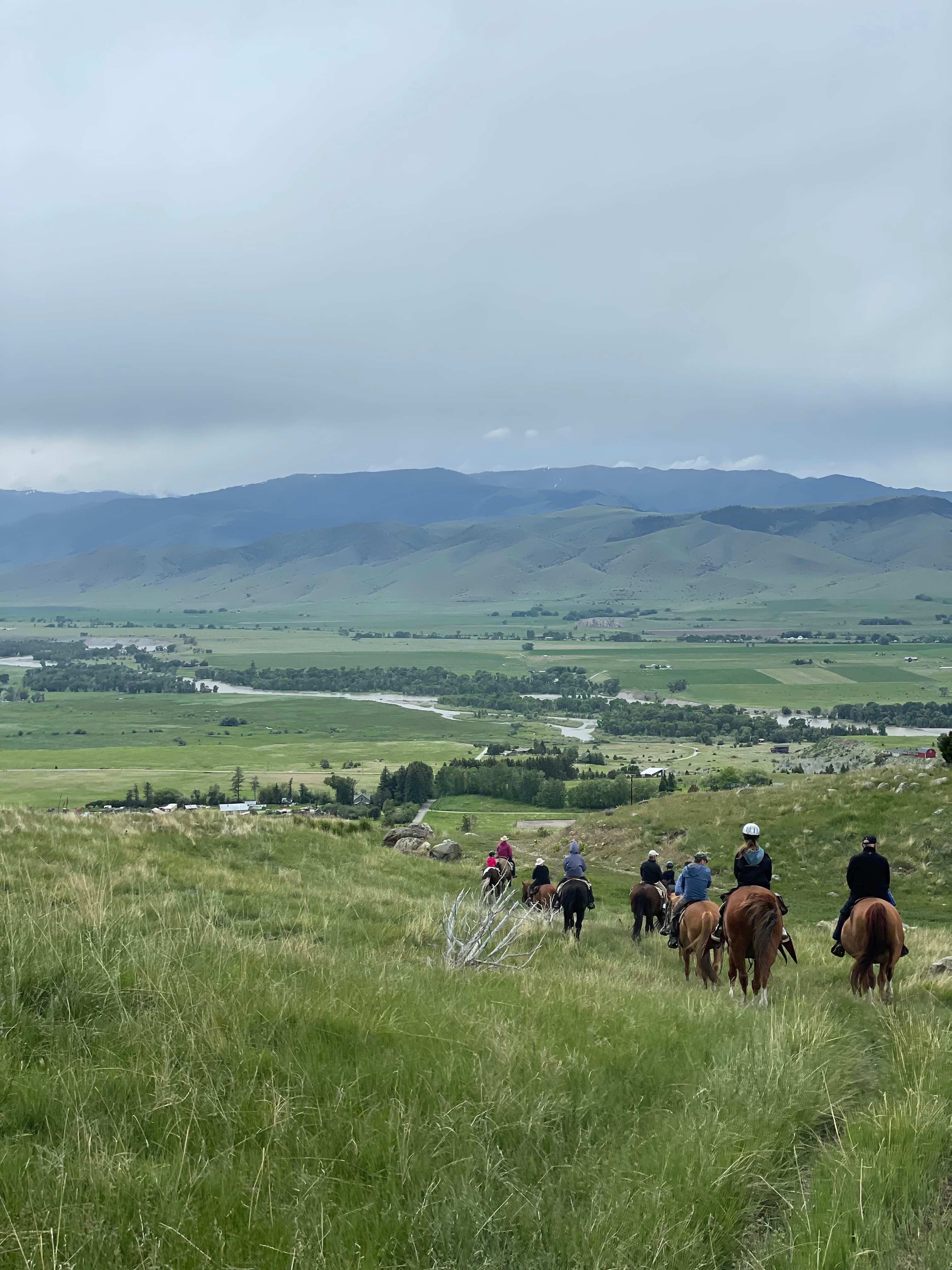 42EF4E6A-5AF8-403F-A44F-7206282CC981