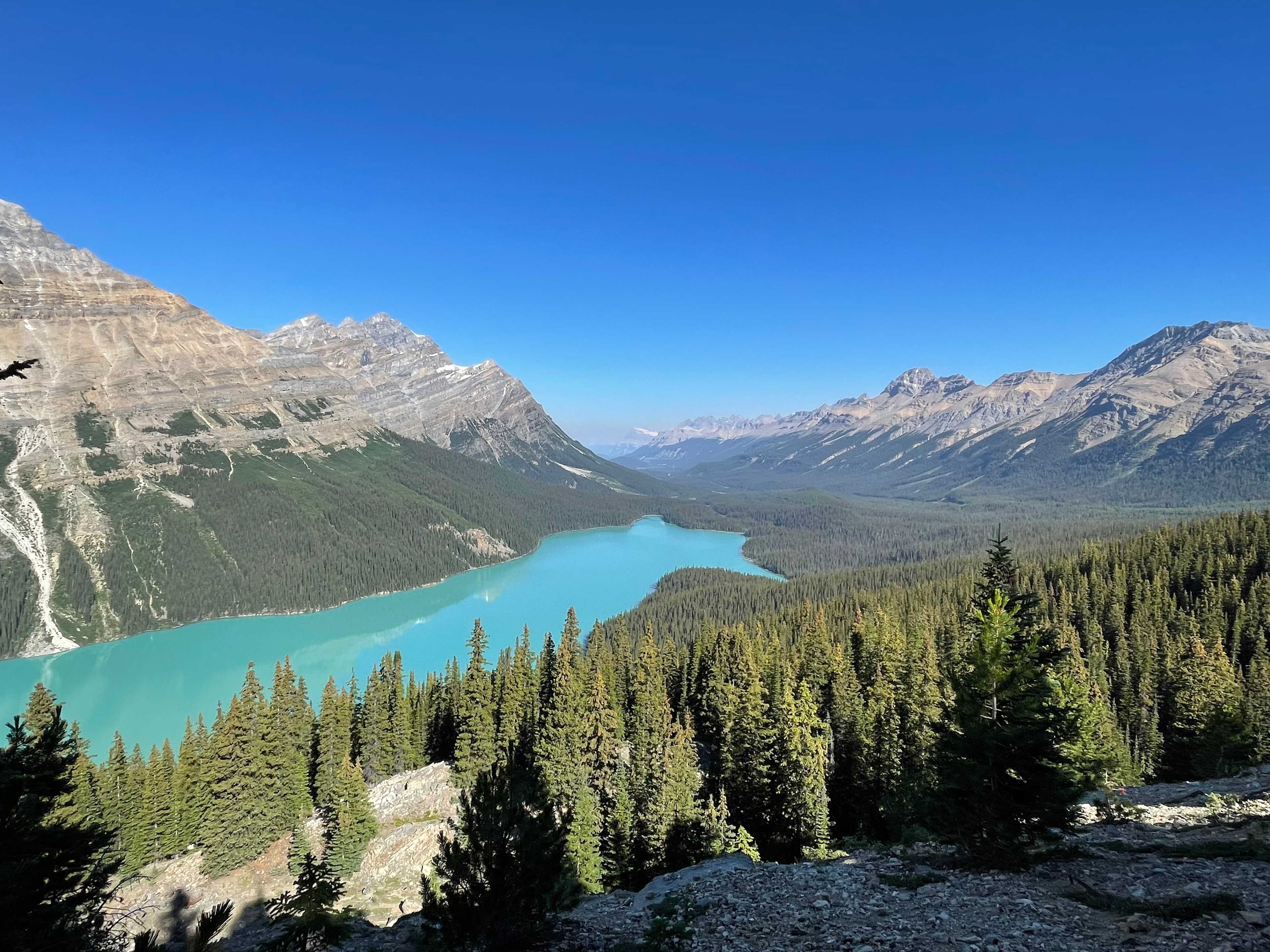 B0E3D230-AB7F-494D-B018-0999A9E12DEB