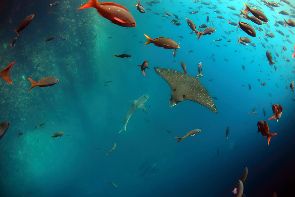 galapagos-islands-adventure-11