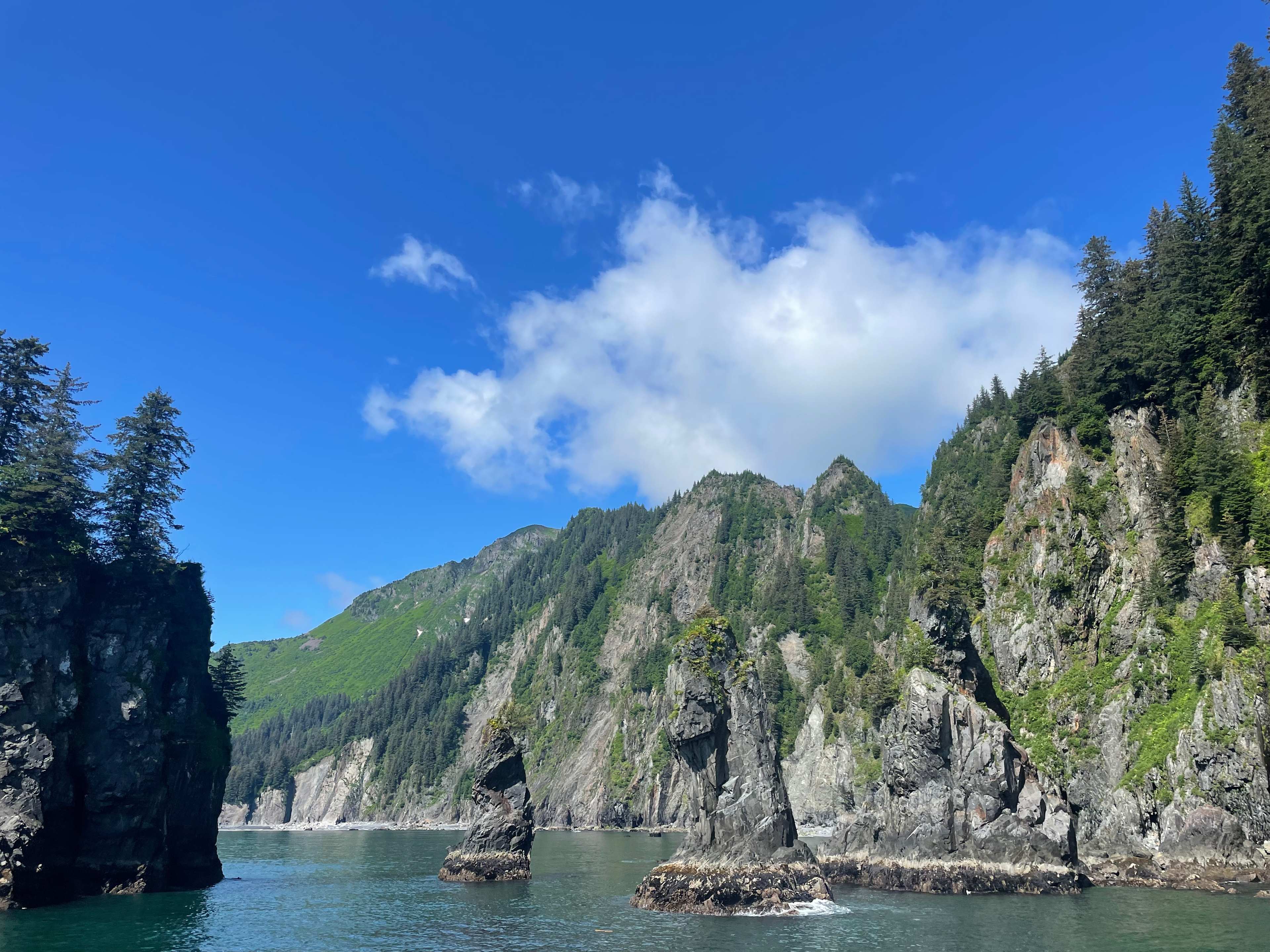 0037559B-795E-407A-8C7C-FBC55067B208