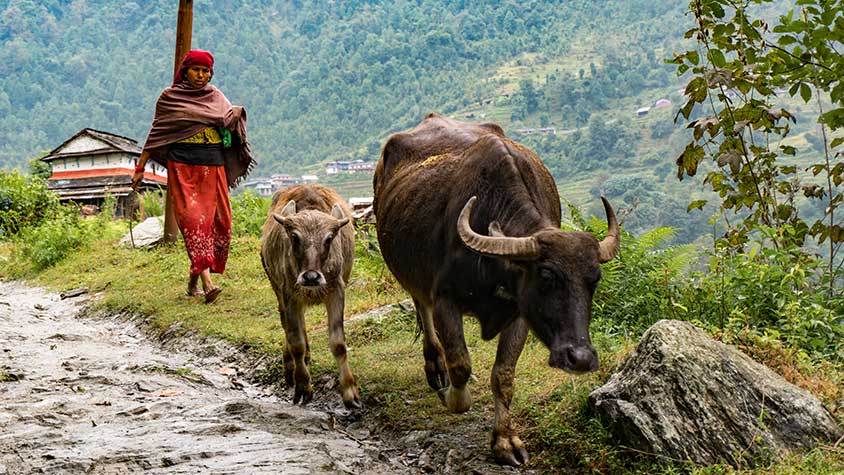 When is the best time to visit Nepal?