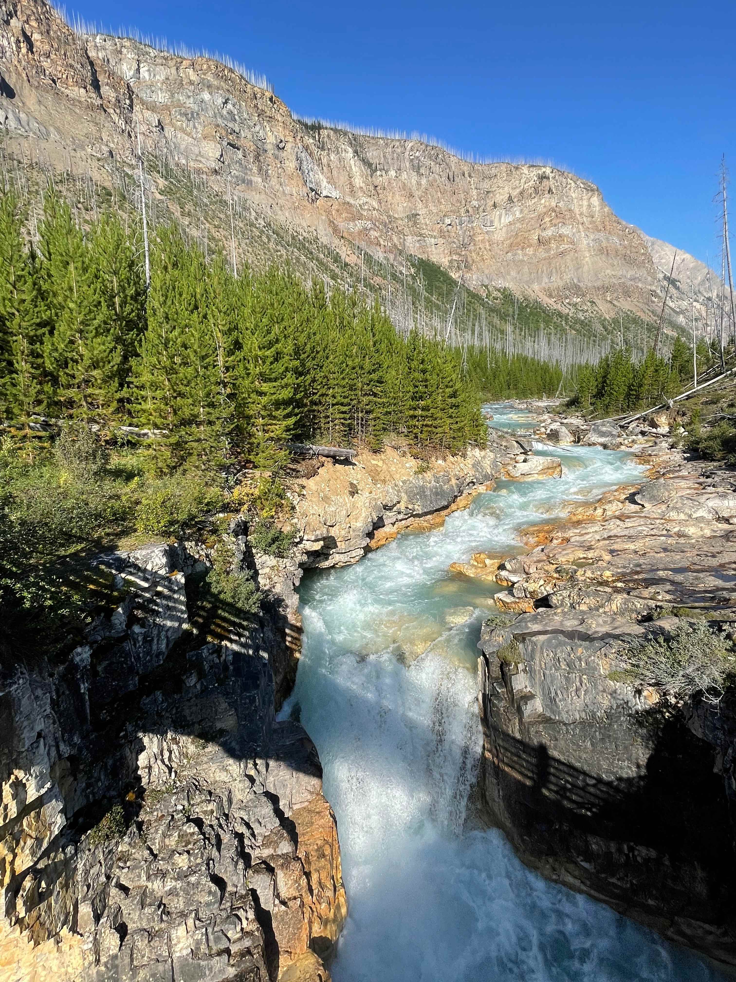 777A5C62-5BD1-484B-B187-BAFB26AAC20E