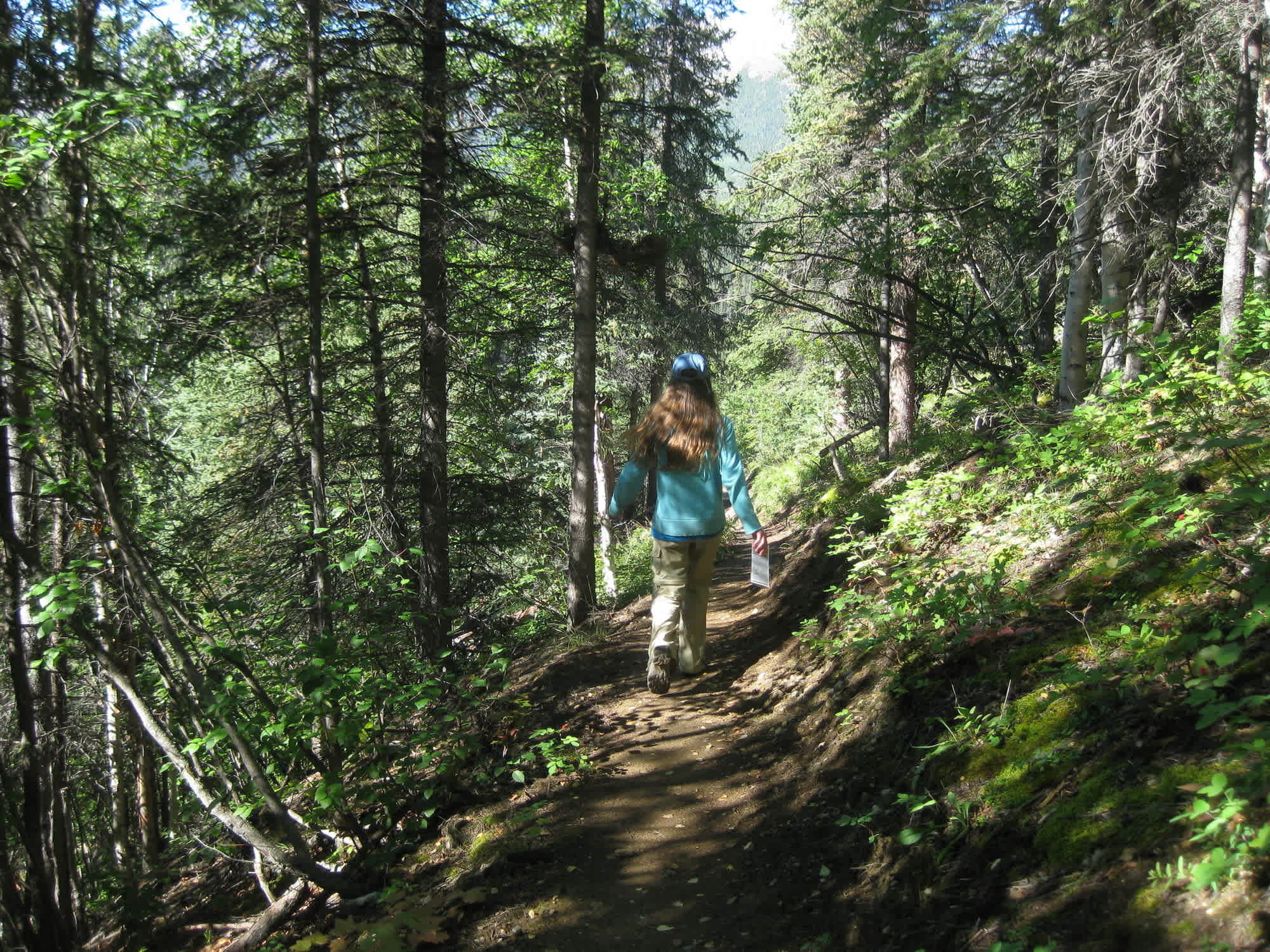 NA_Alaska_Denali-triple-lakes-hiker