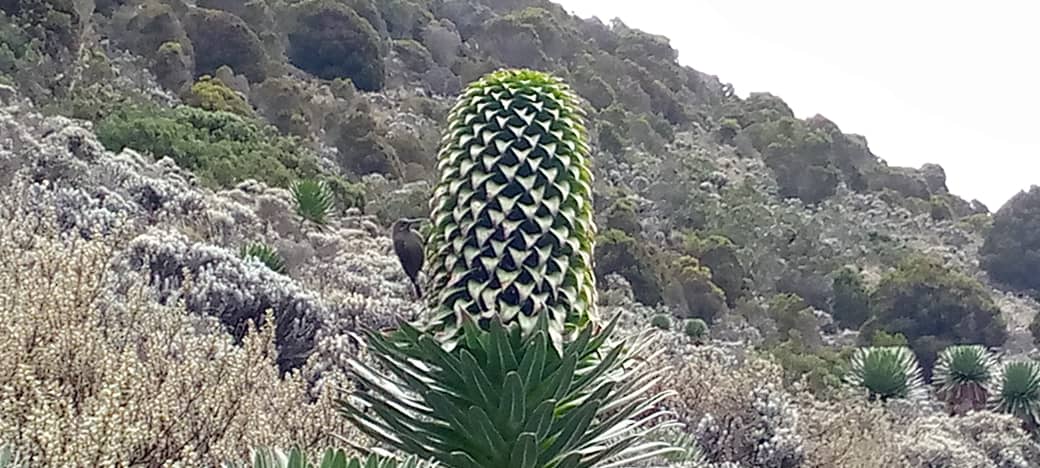 PHOTO-2022-02-27-18-33-11