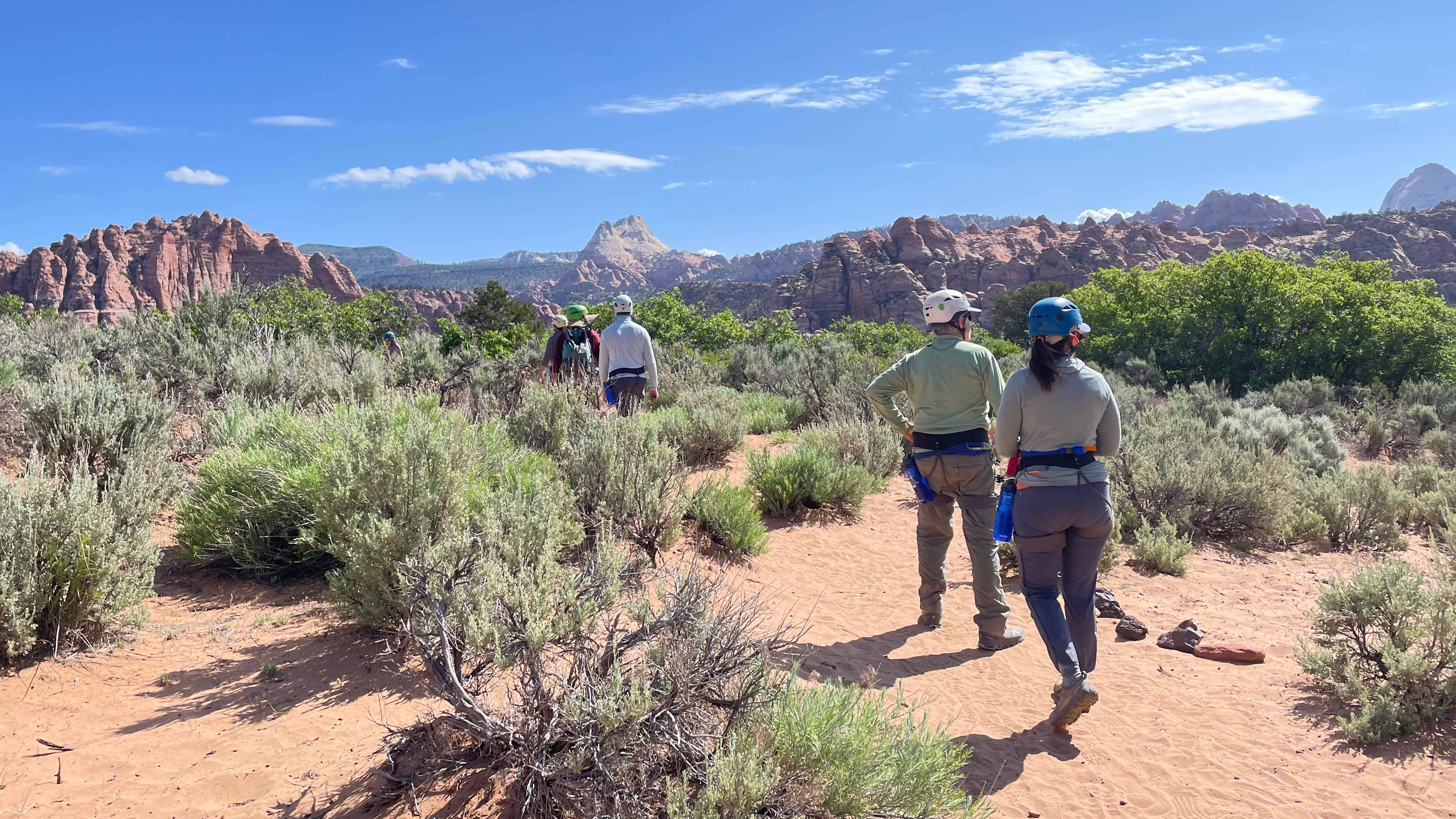 0FC21D11-E410-4D2A-99A7-63B0582A42EE