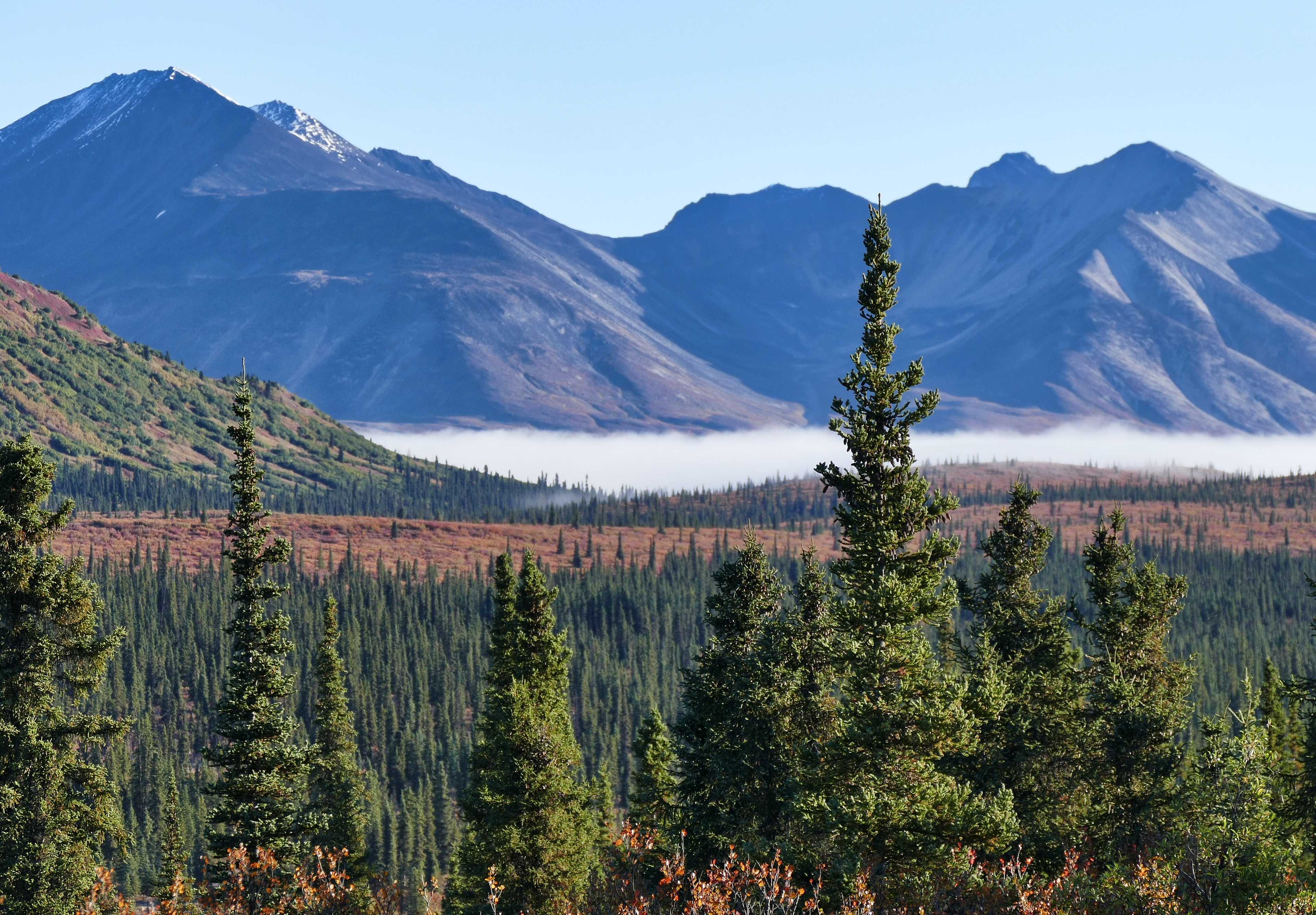 david-frankel-uGNZLgYbTEs-unsplash