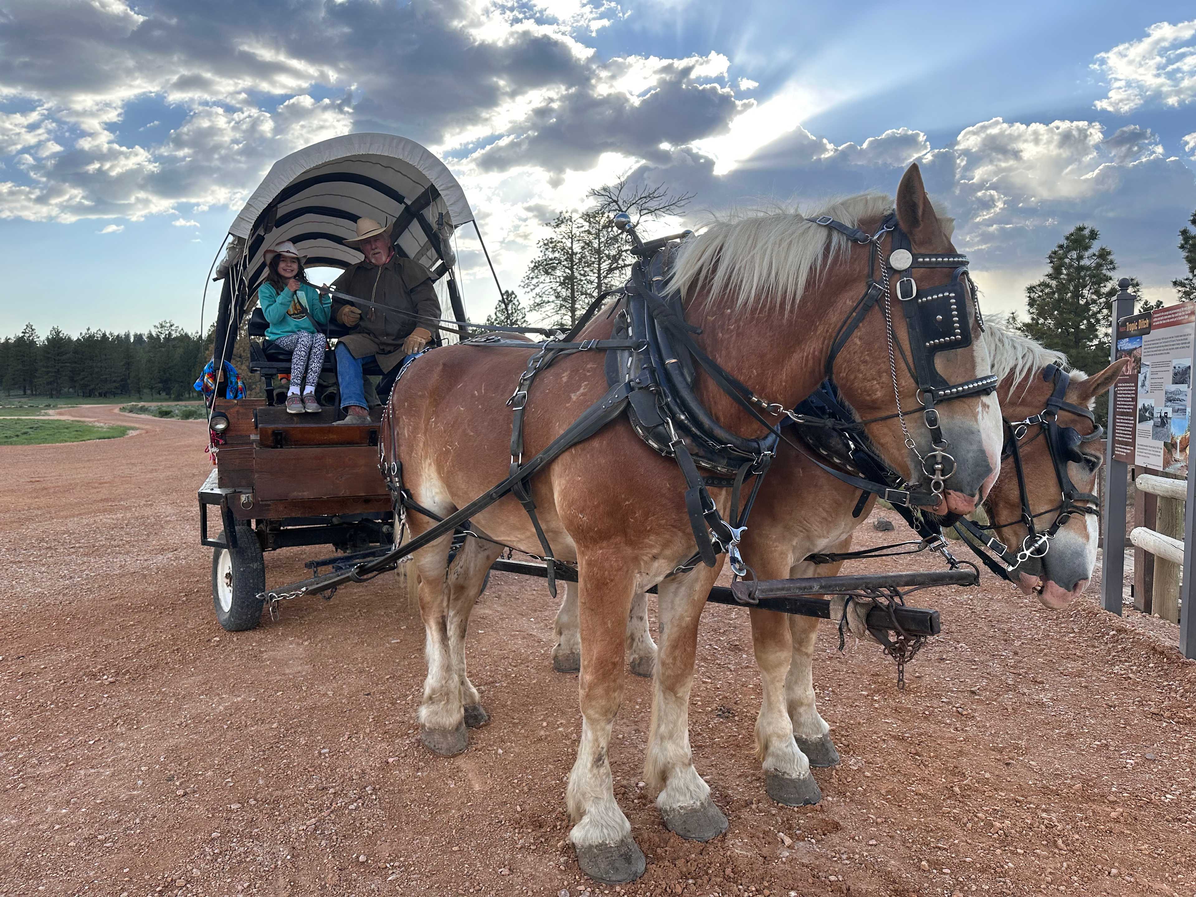 32886A21-C98F-43AB-8287-16432BA58923