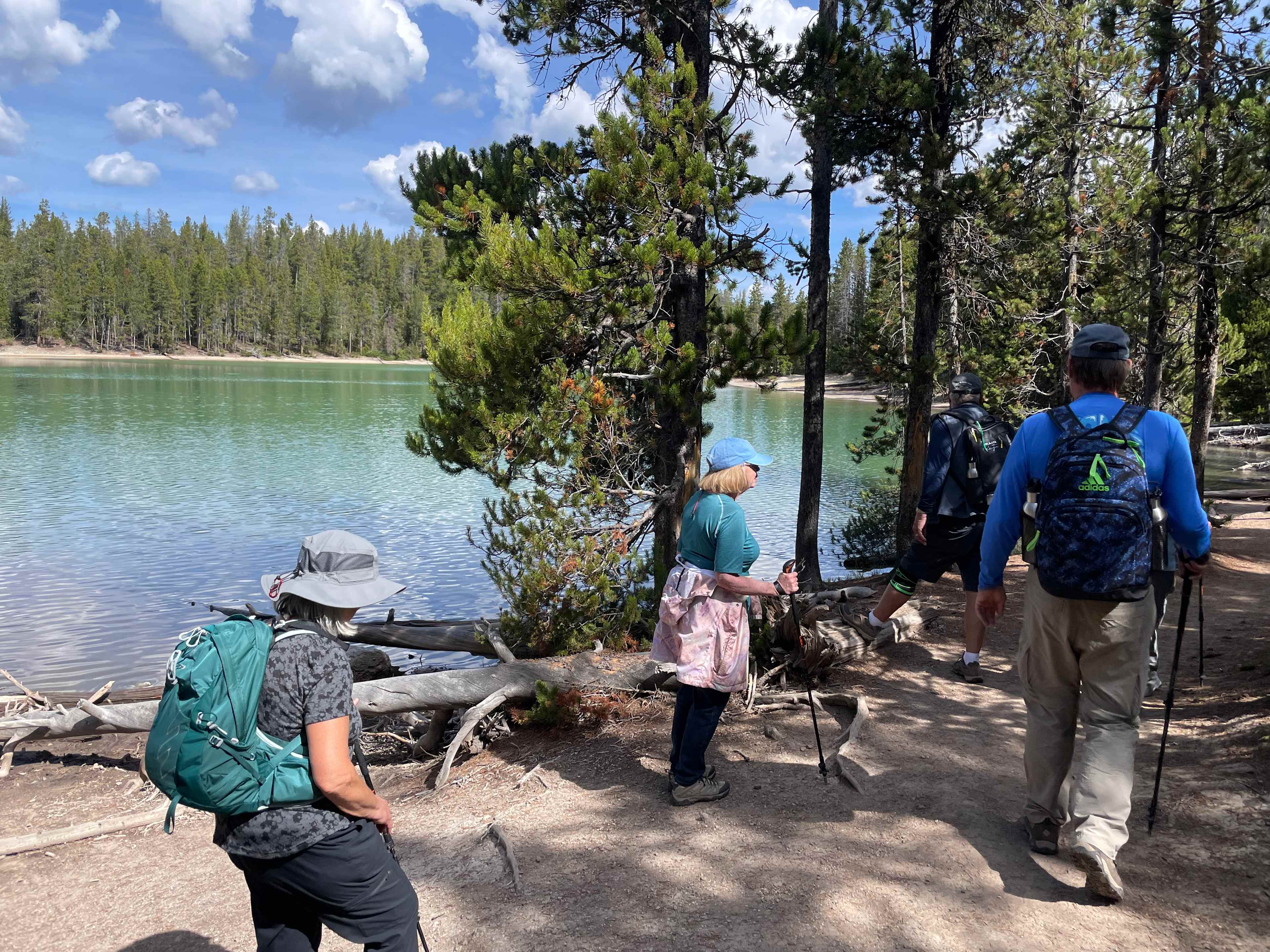 36FF0F01-8559-4AD4-8949-84A4F5E4E95F