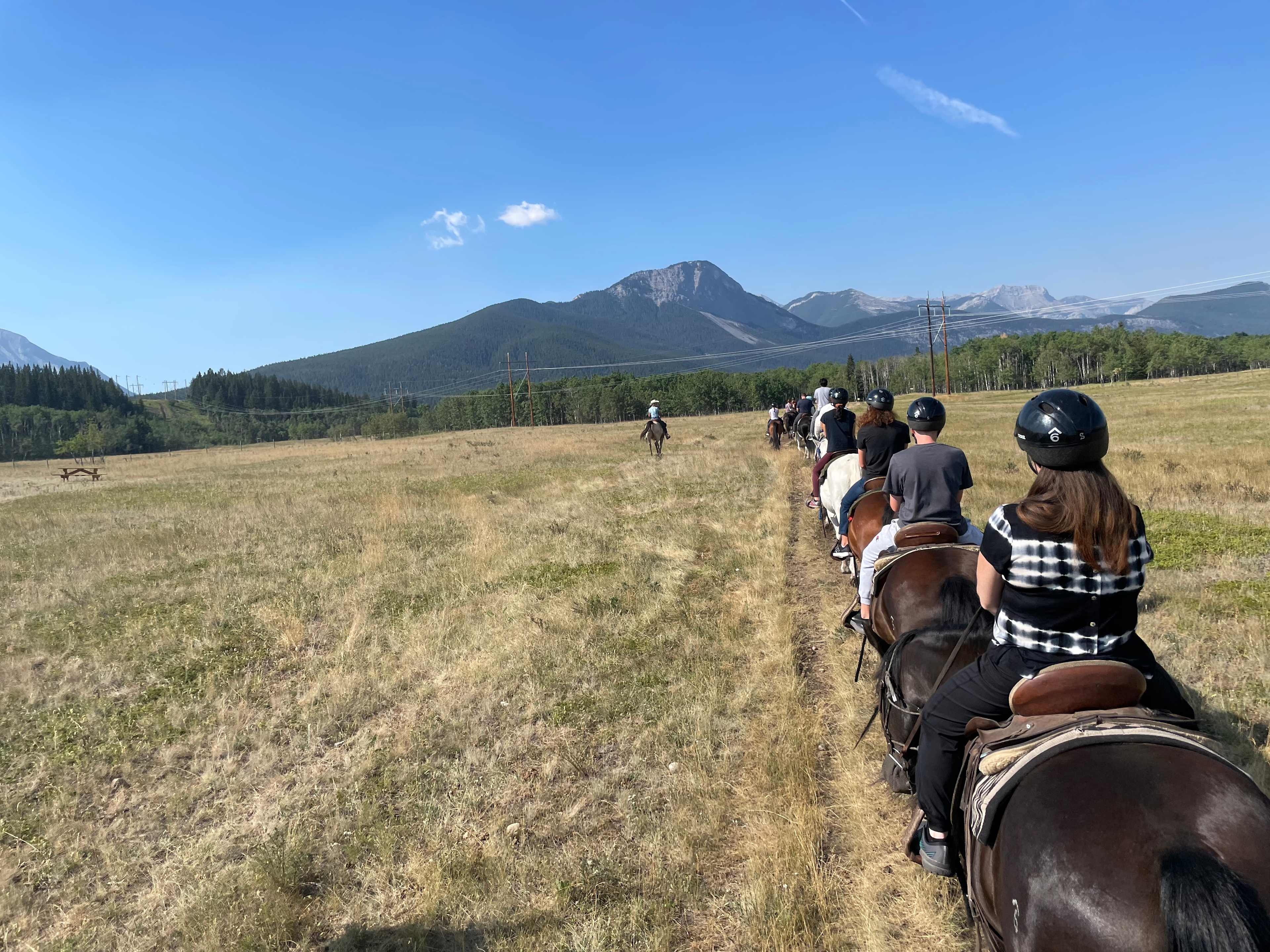 2127CC30-E730-425F-BE99-FD66F87F48E0