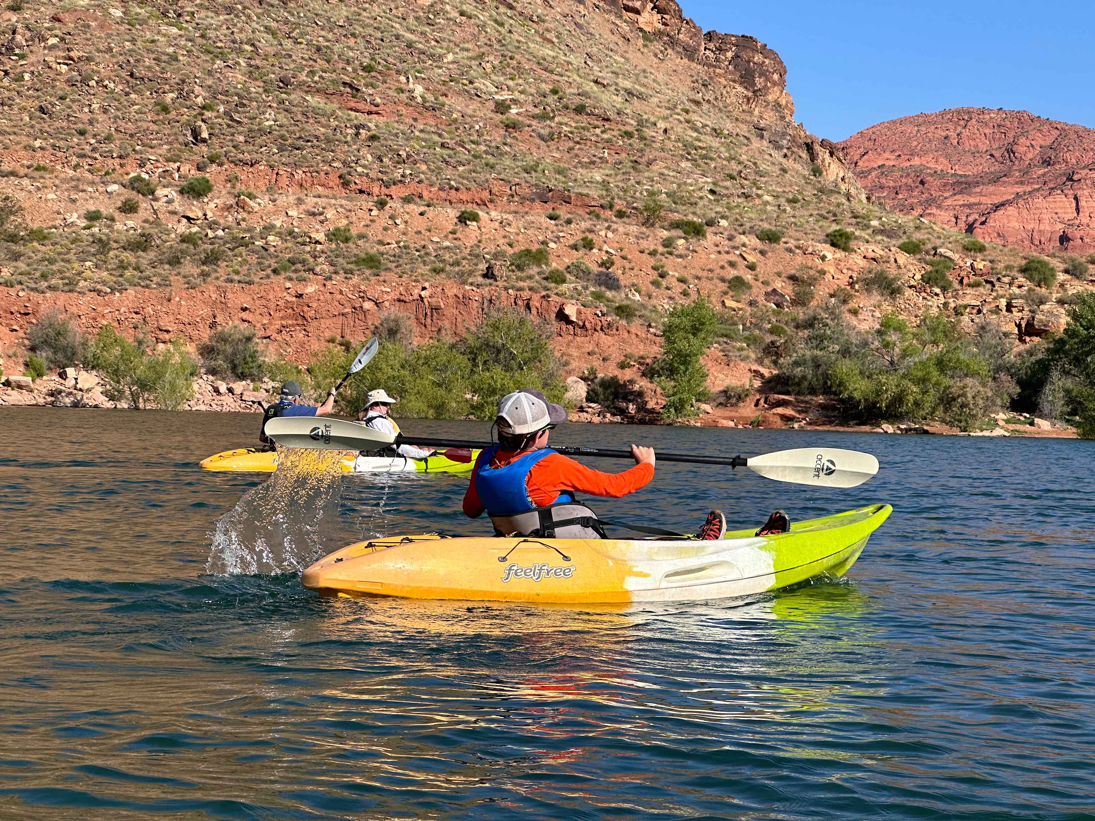 F3813F0D-7FA8-4BB3-A1FE-845D2676E378