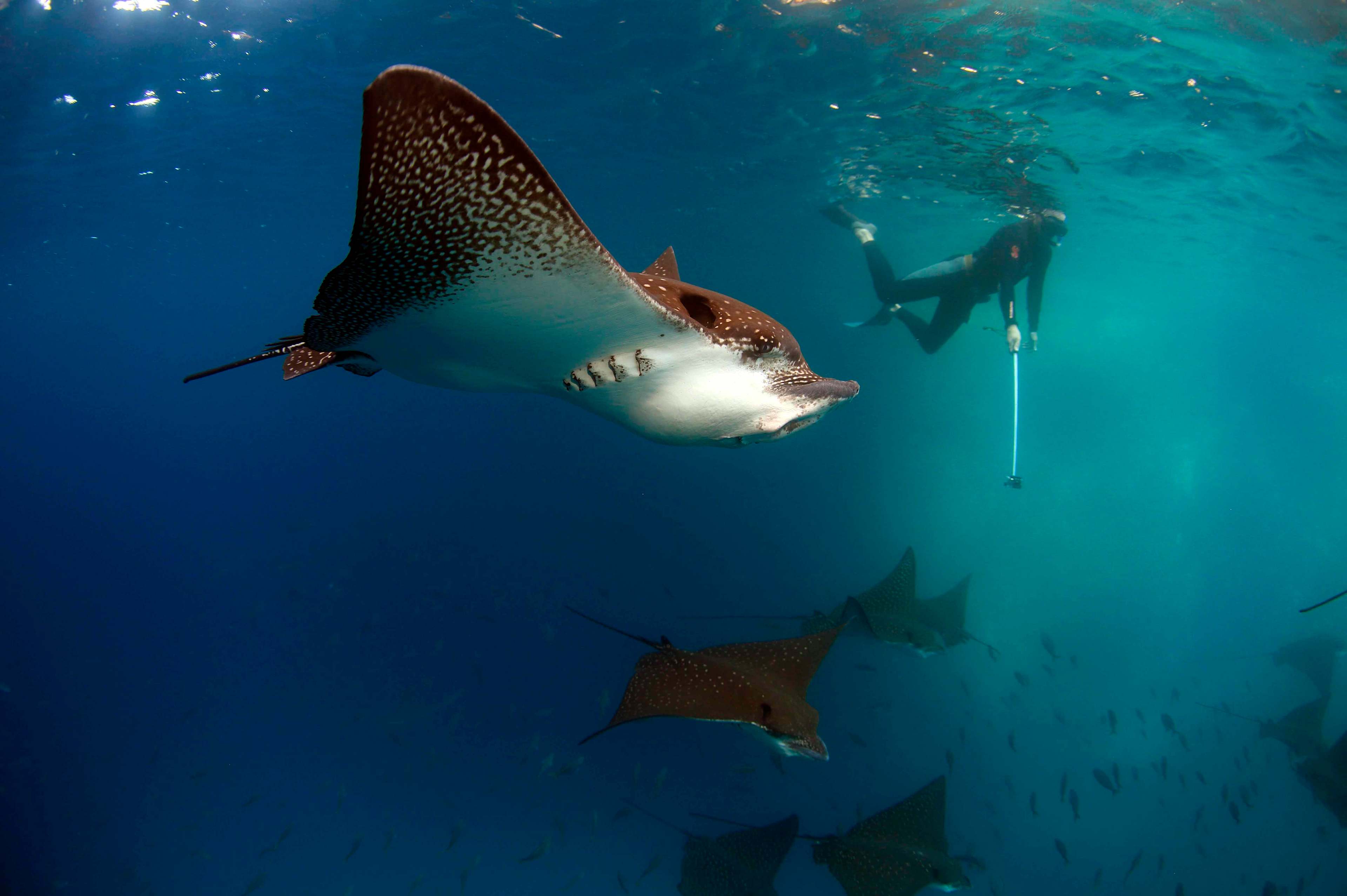 galapagos-islands-adventure-4