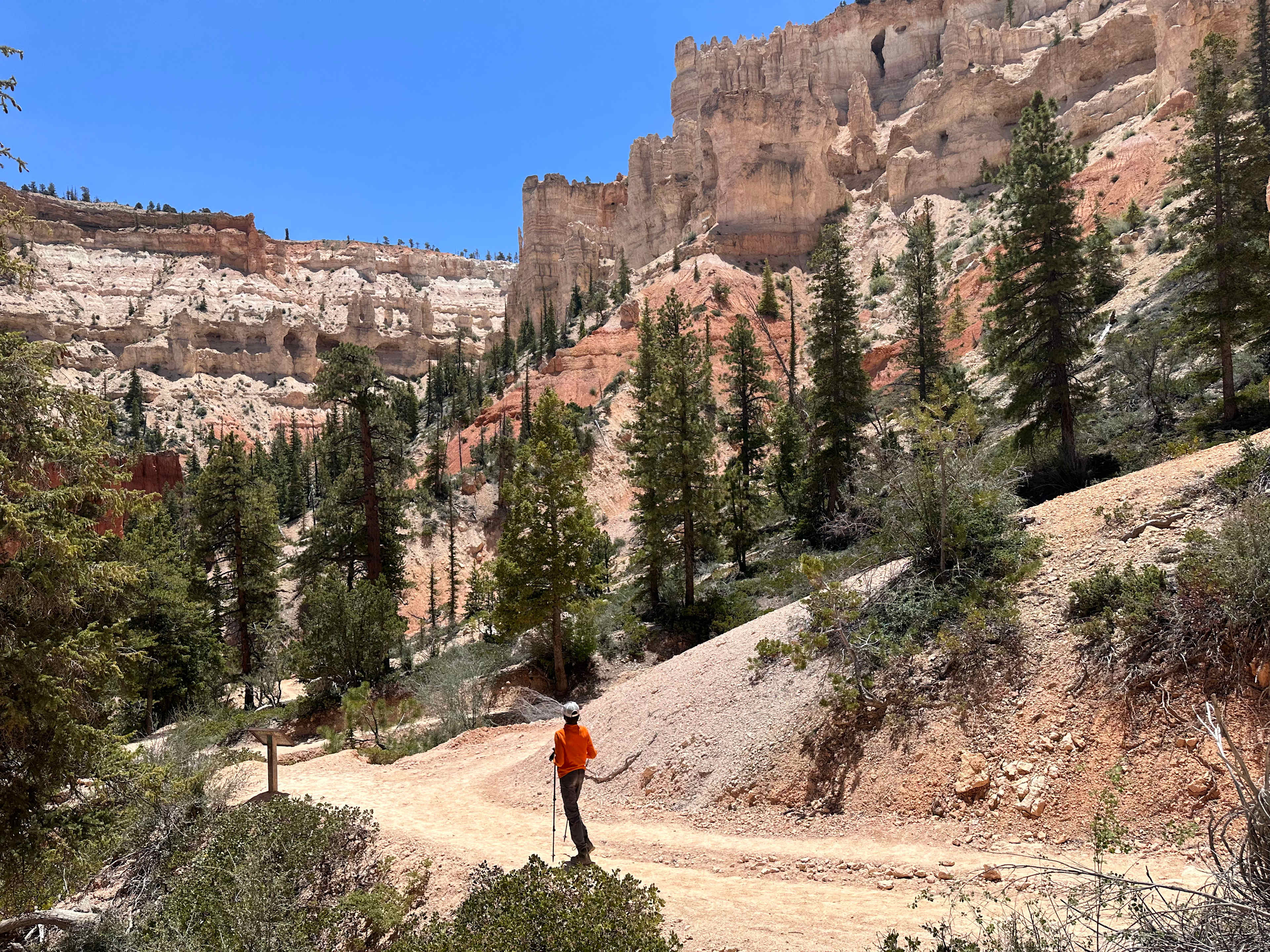 23343909-8F25-49F7-B3BF-6C54D504BFC8