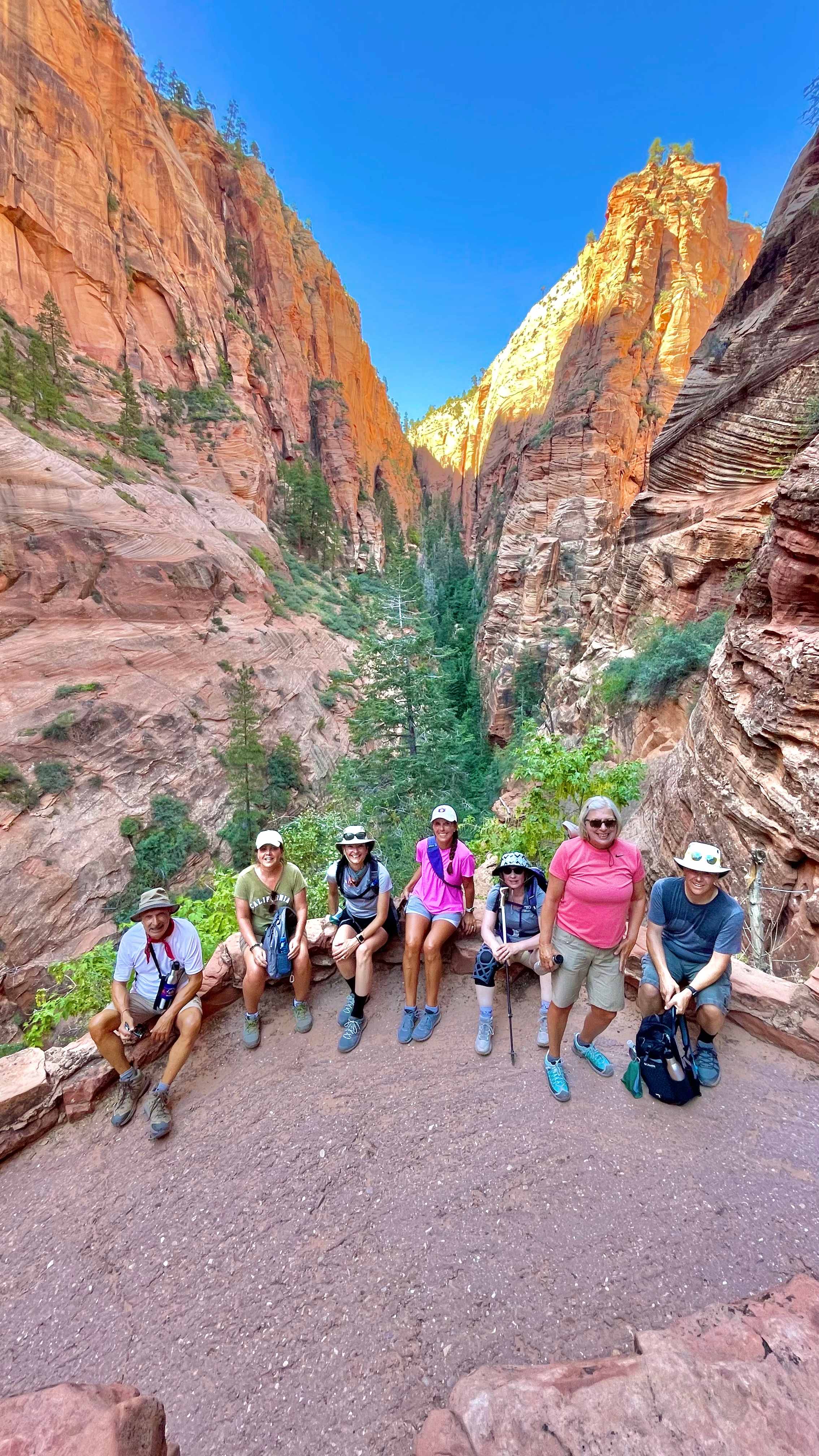 DAF68BDF-1A40-4D3A-94C8-530A8486B6FC