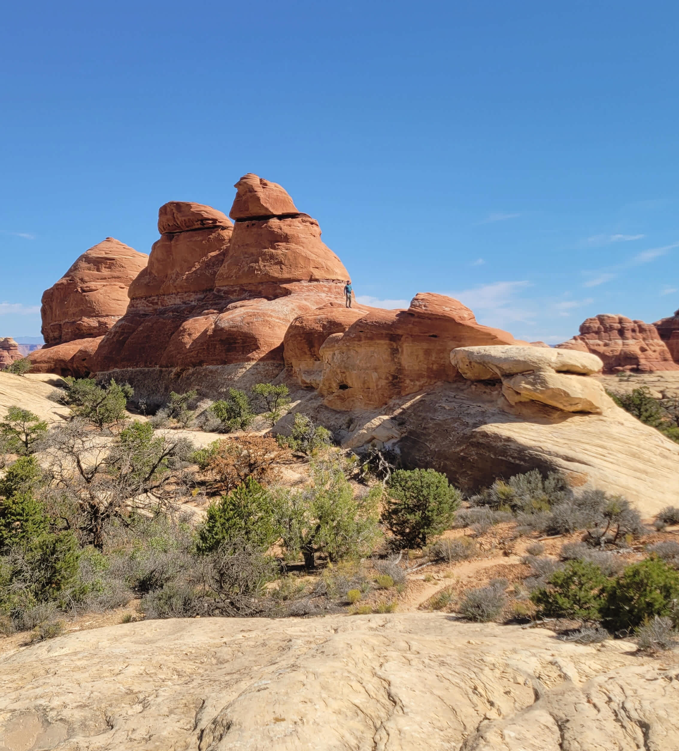 20221011_122657-Edited