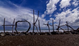 Video: Our Guest Kilo's Ultimate South Island Adventure