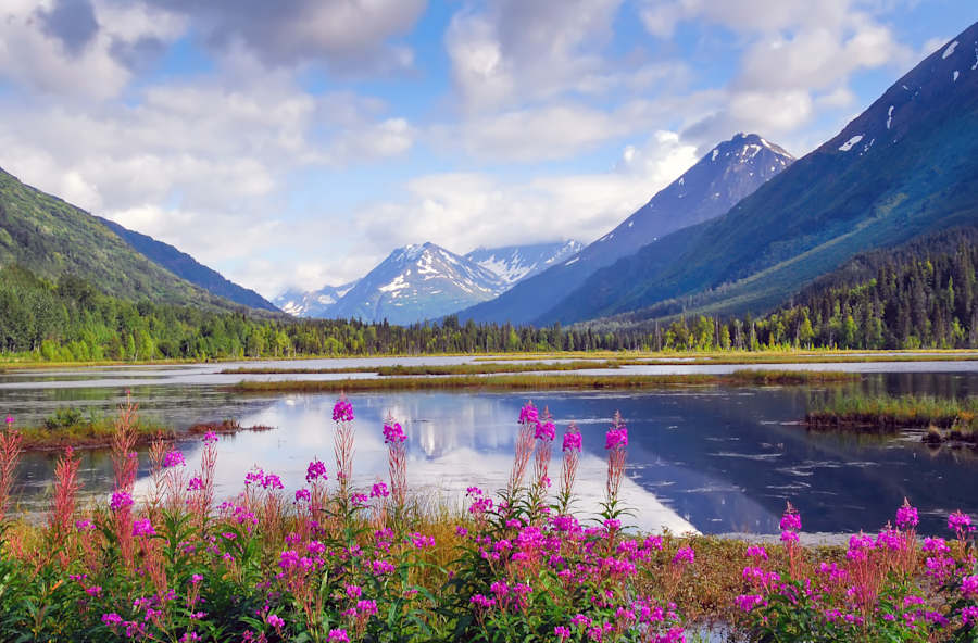 Kit Parks talks to Milli on the Kenai Fjords & Denali Adventure