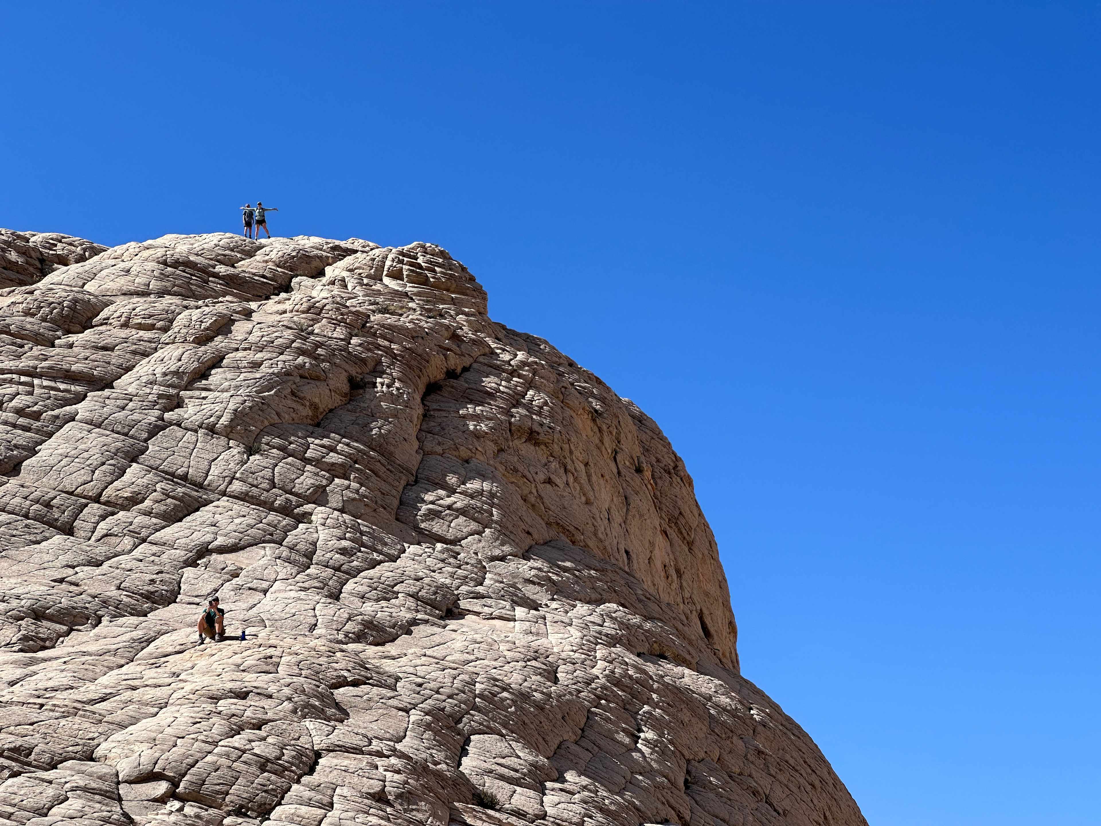 F08788A6-23CA-47DB-8CE9-1F2194E083C8