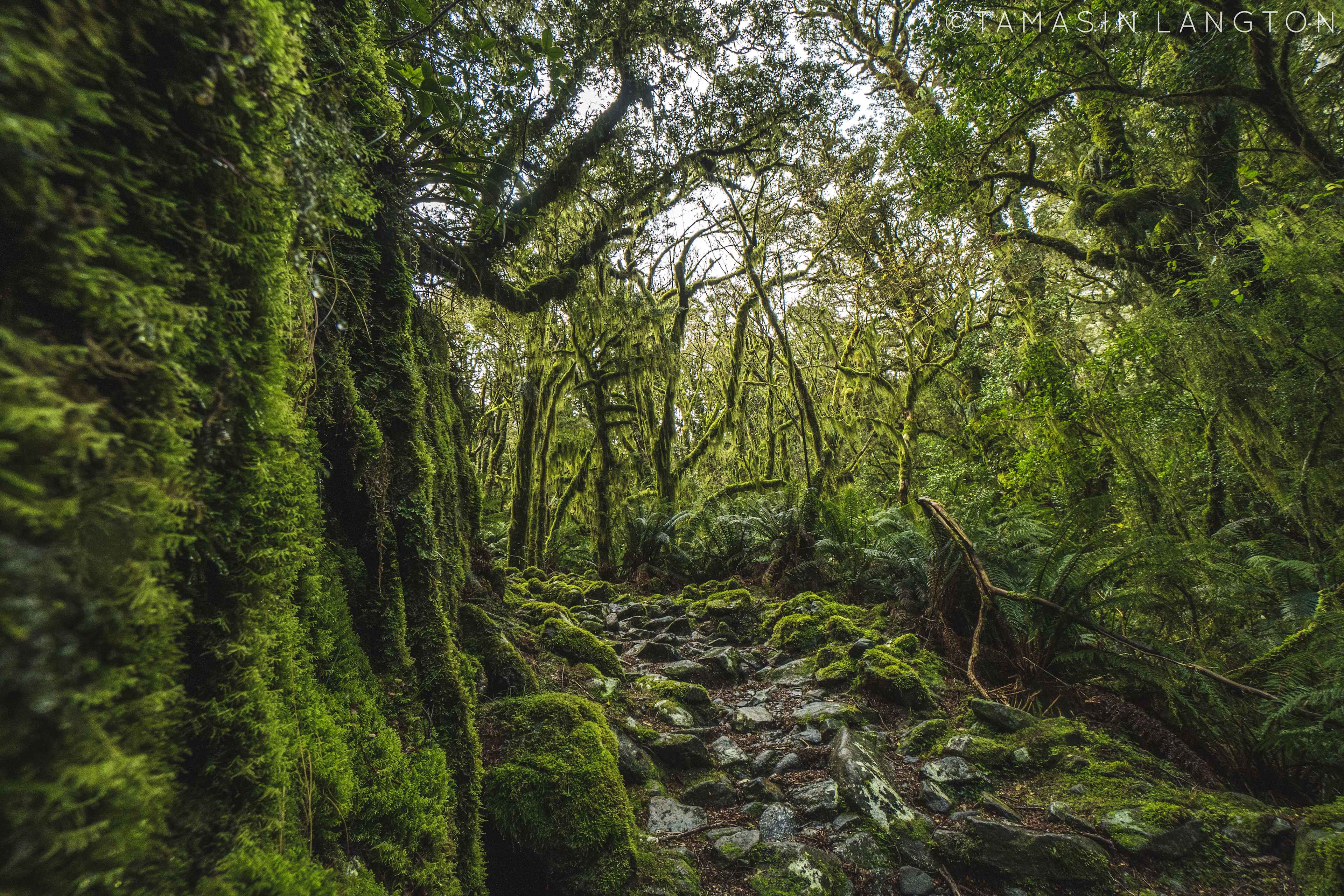 Tamasin-Langton-Photography-38-1