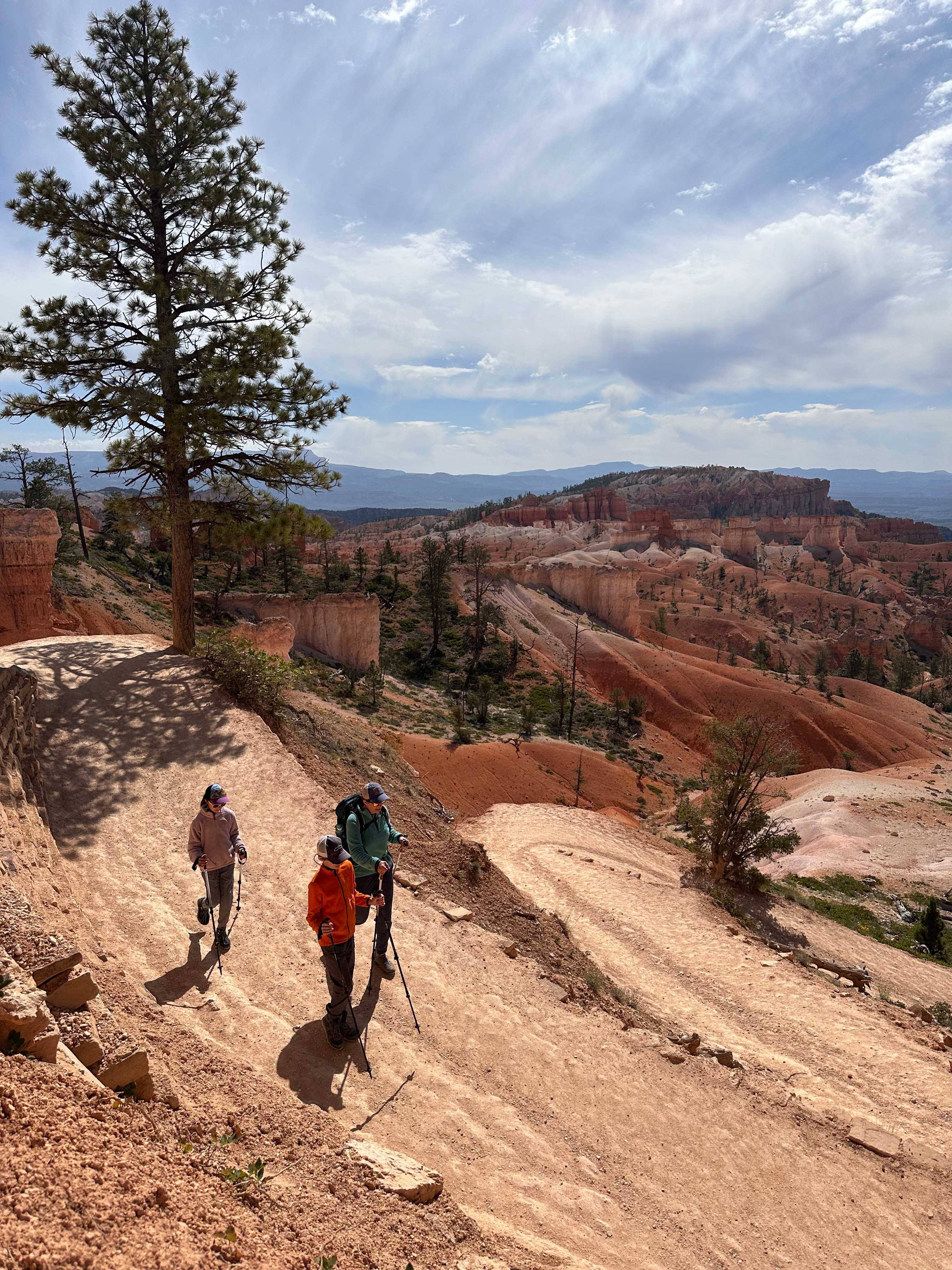 5E9DB61B-3A53-419D-8F47-A34422F1EE9D