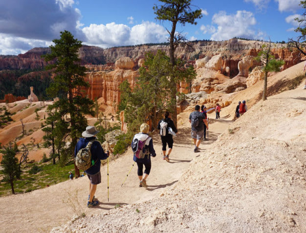 Zion-and-bryce-group-hiking-626x477
