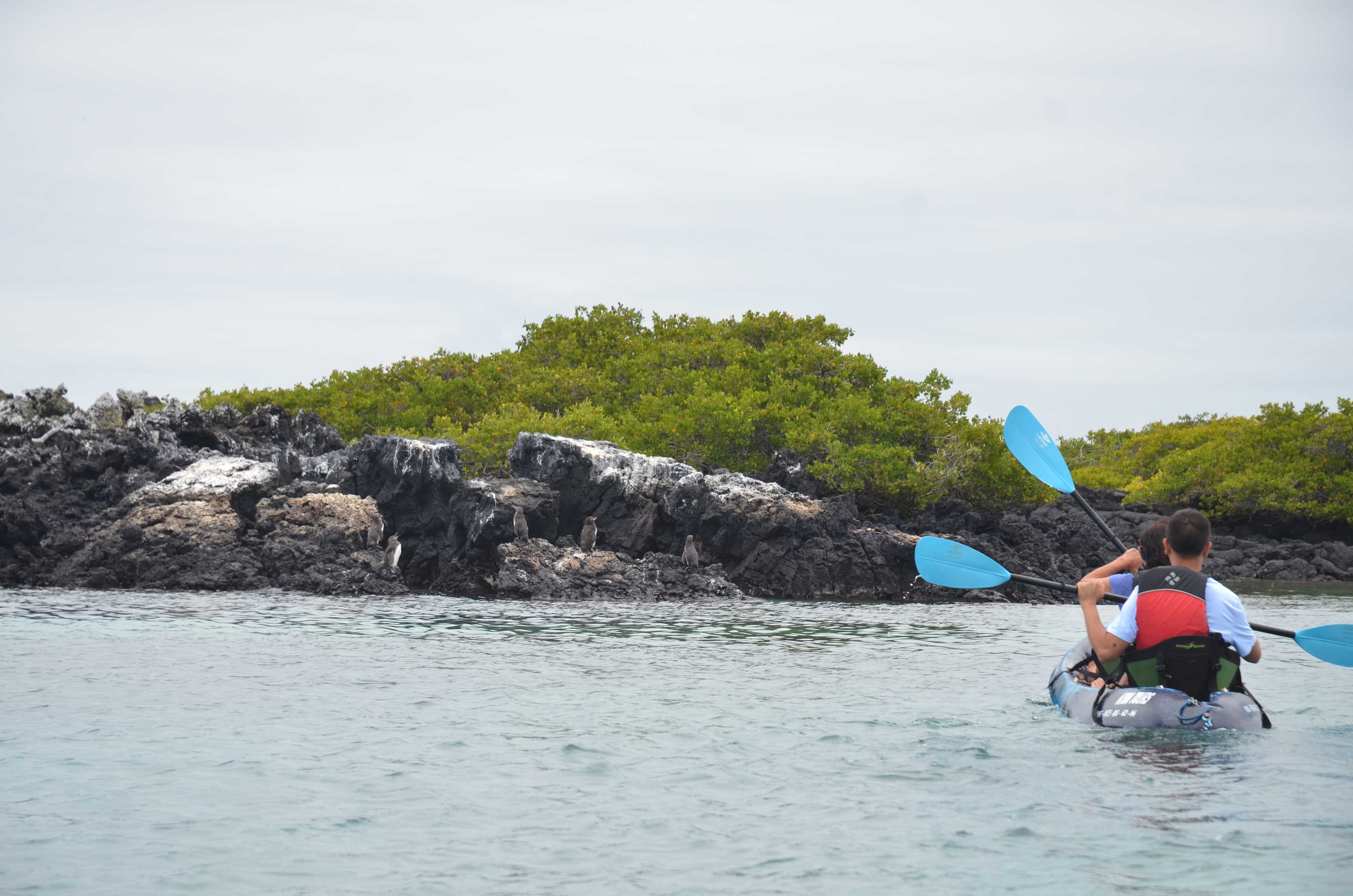 galapagos-islands-adventure-8