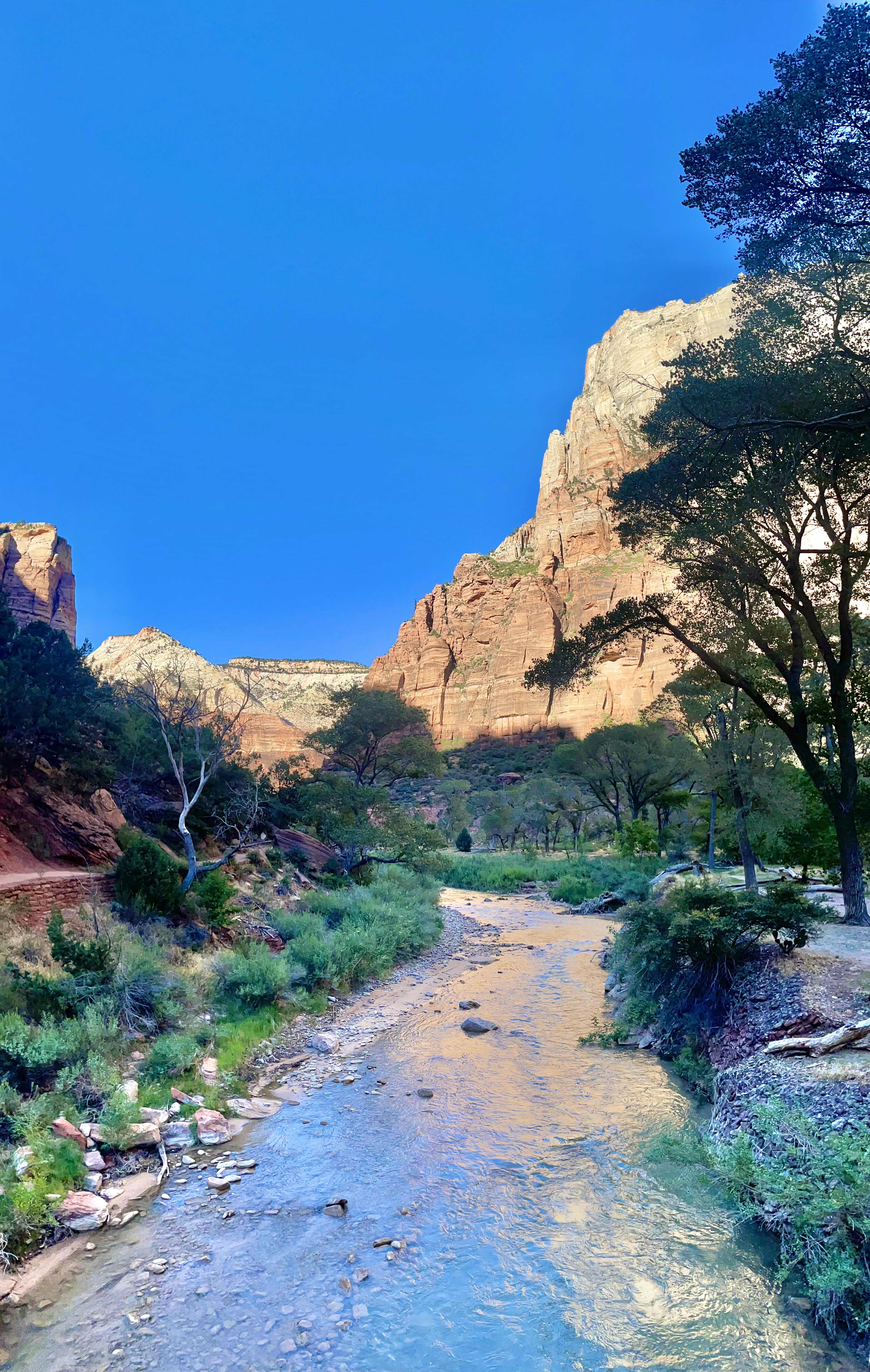 43274331-0CC3-49A0-832E-83F99E7C594E