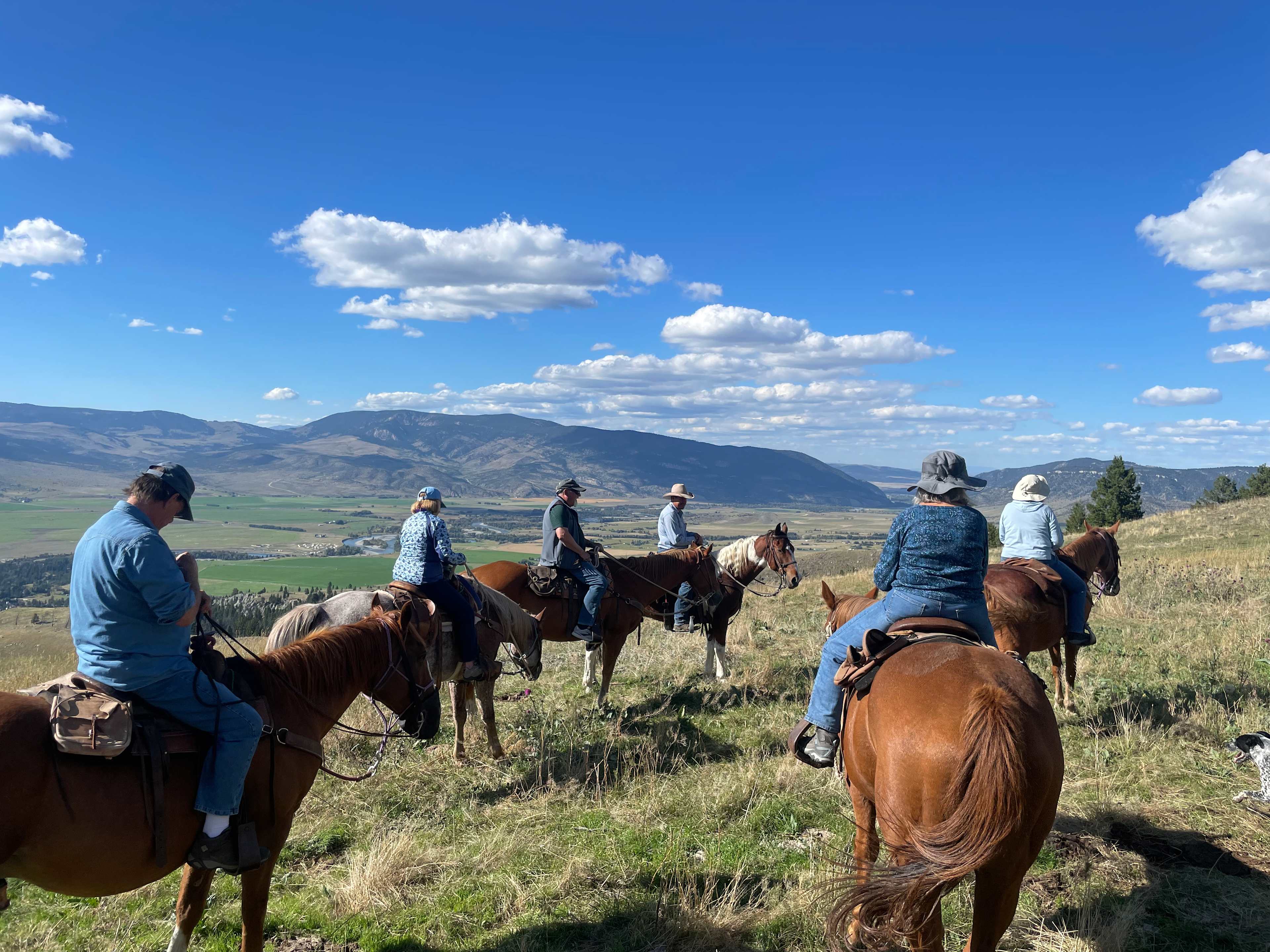 228B6EEF-27BA-463F-A3AB-F405014C25F5