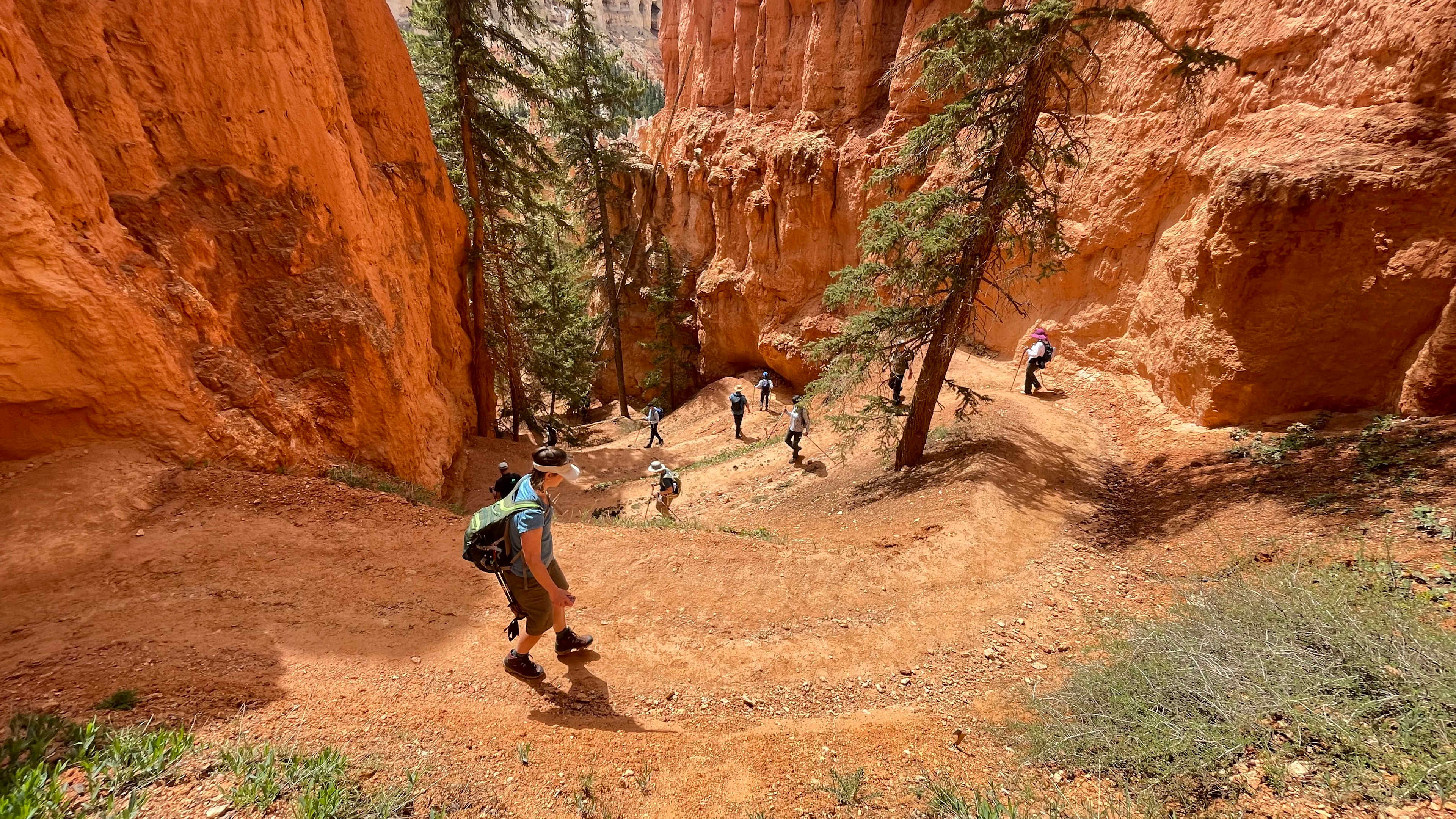 83996EEC-FA18-40F2-8516-4026D5EB0587