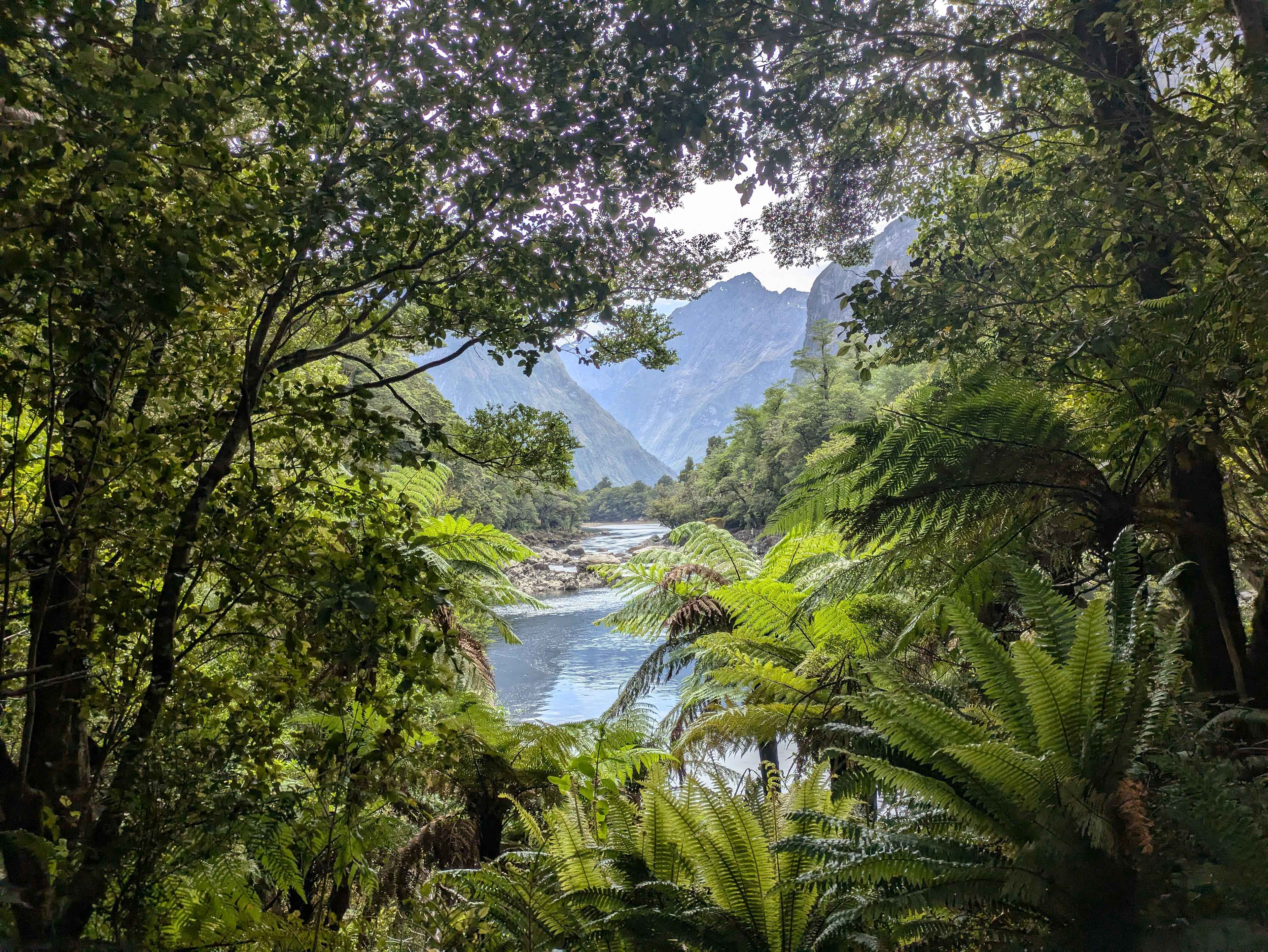 Milford Track Adventure Guide Hike